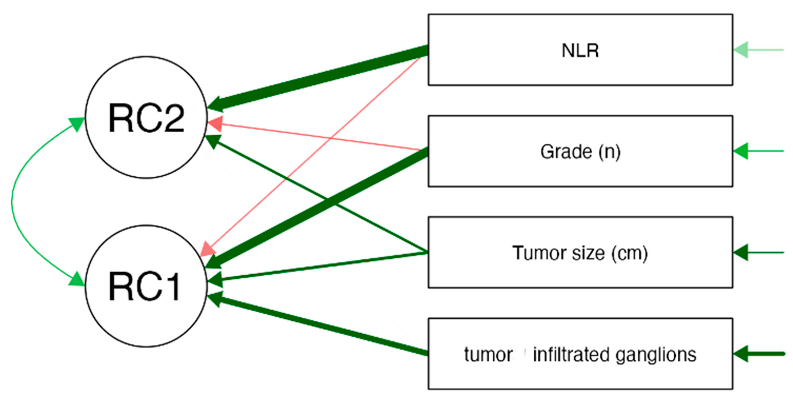 Medicina 61 01580 g002