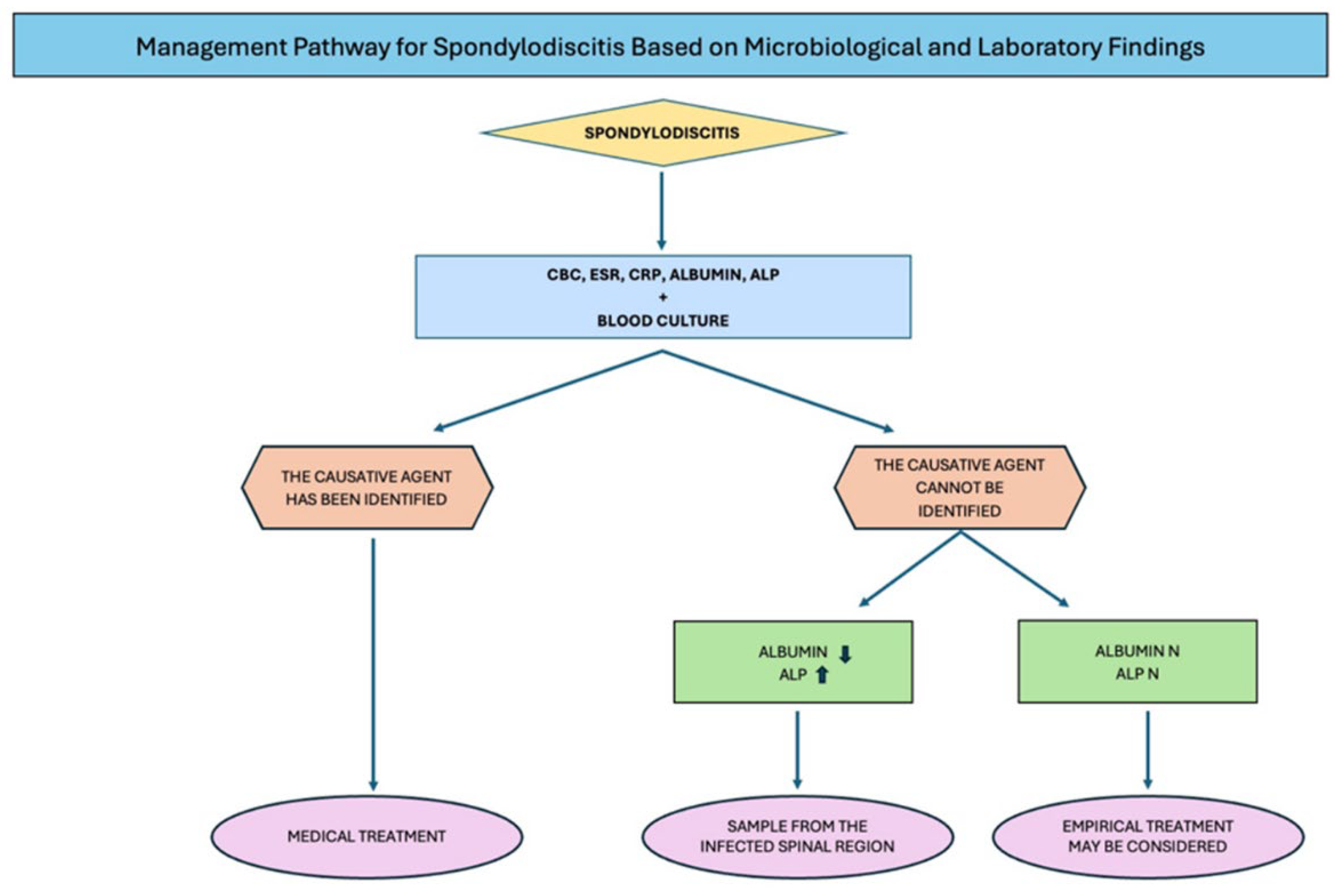 Medicina 61 01591 g001