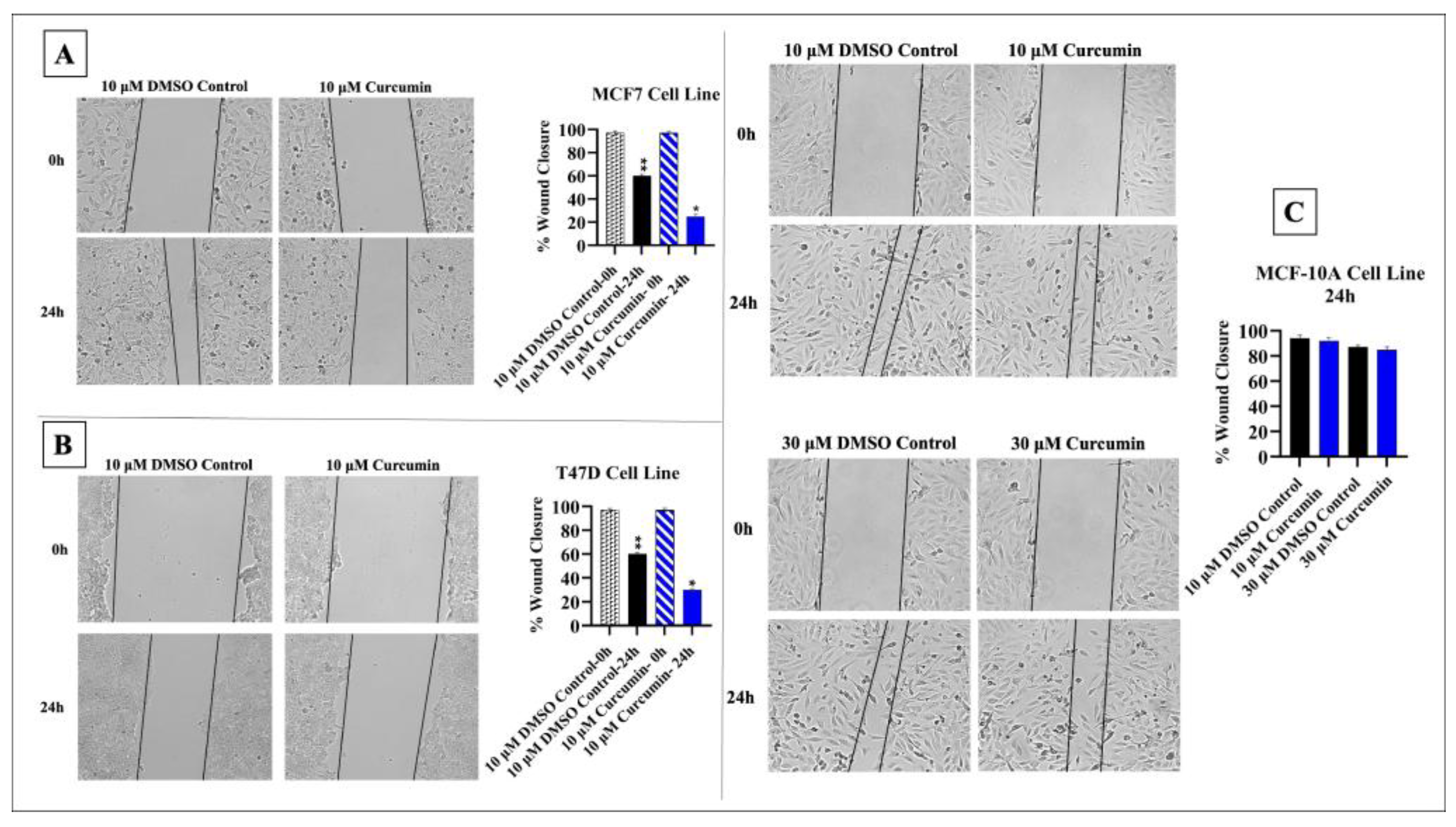 Medicina 61 01600 g002