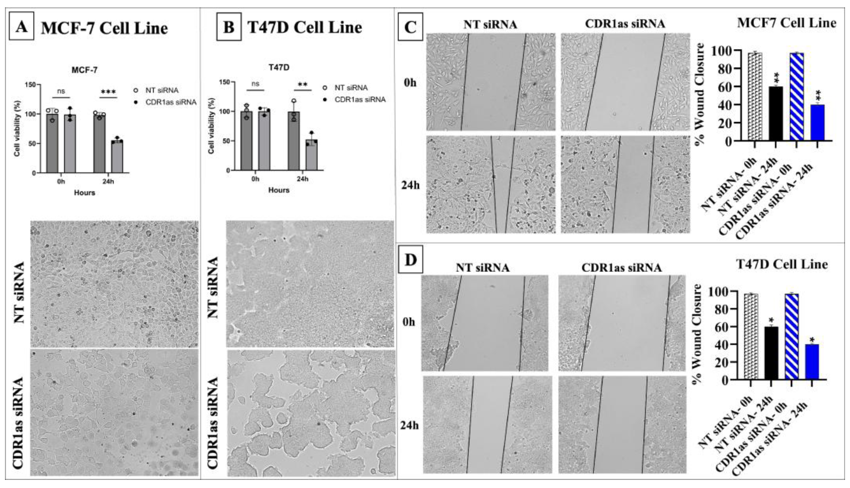 Medicina 61 01600 g005