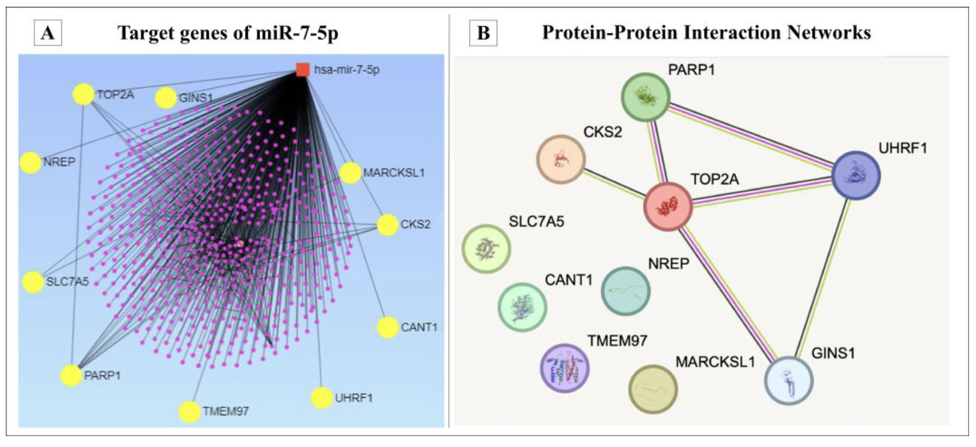 Medicina 61 01600 g008