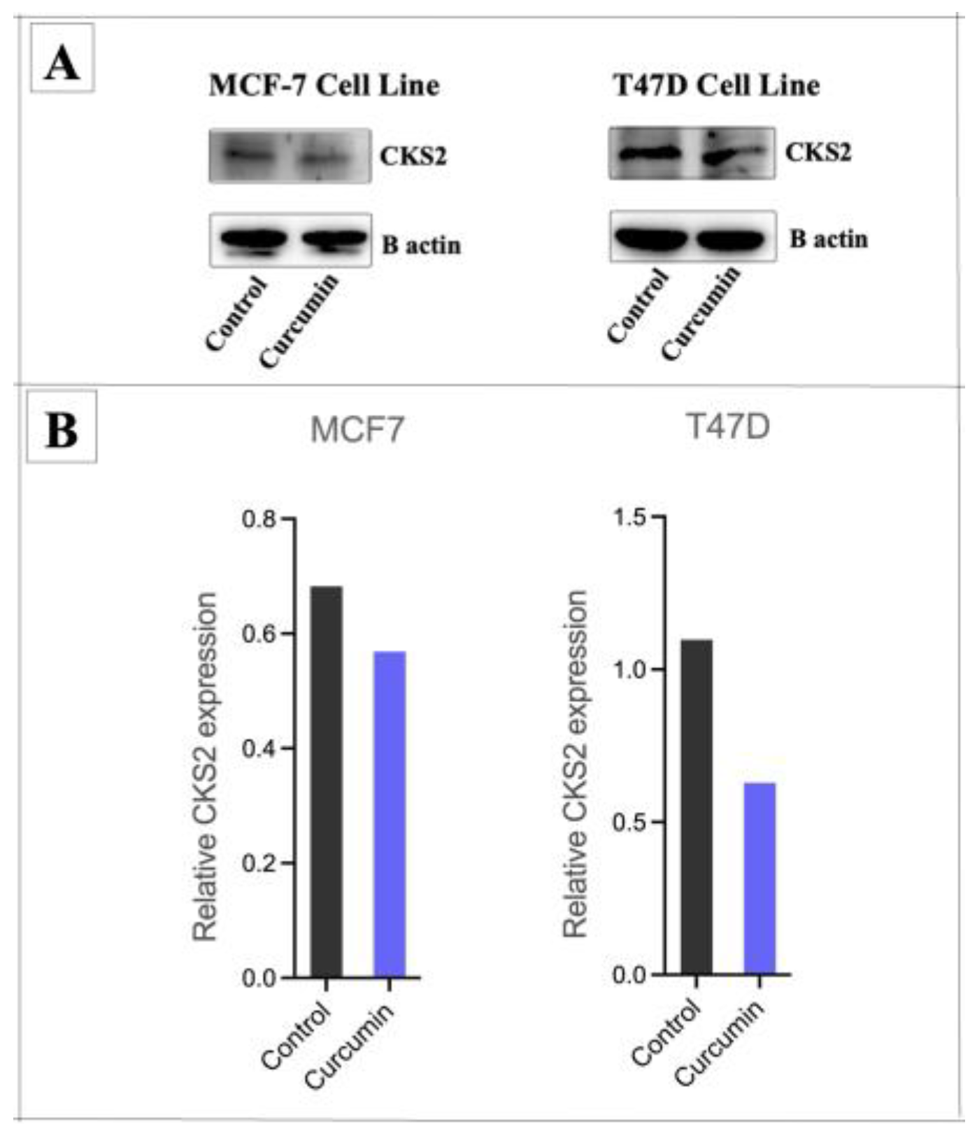 Medicina 61 01600 g010