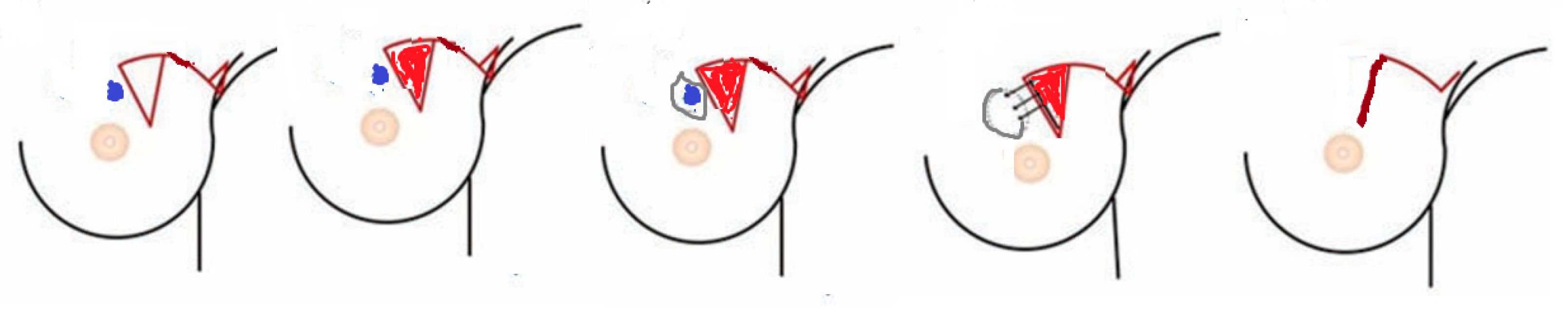 Medicina 61 01609 g002