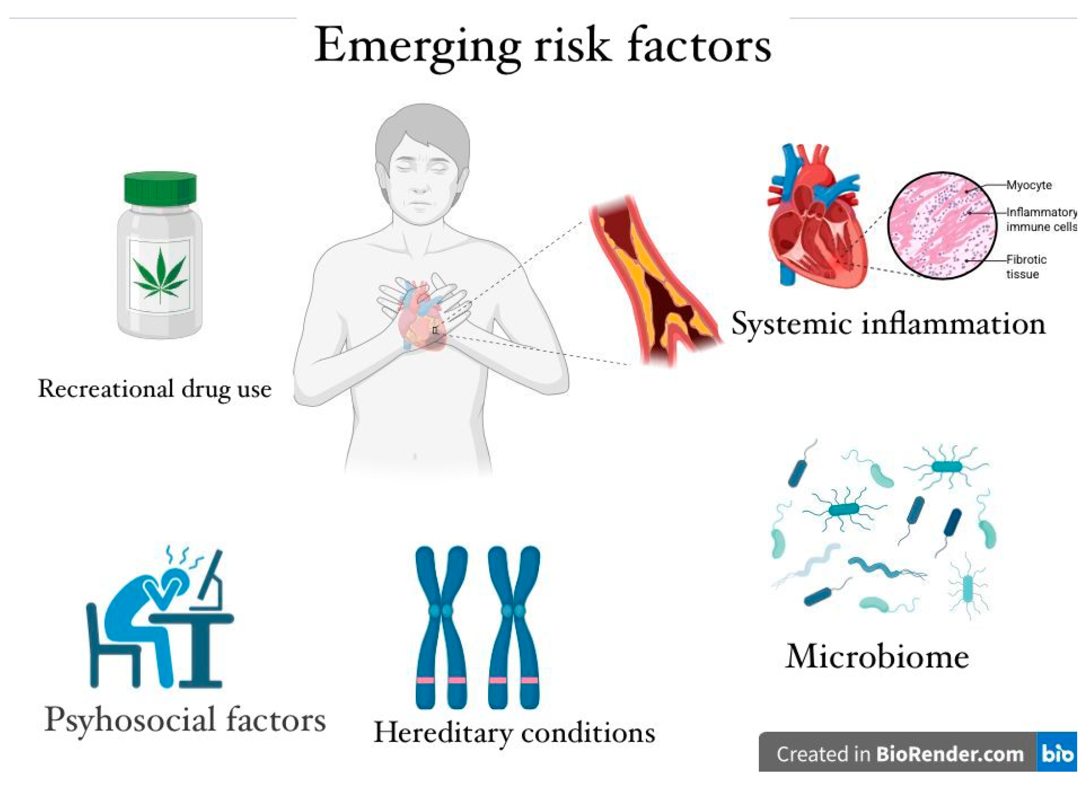Medicina 61 01615 g002 Medicina 61 01615 g002