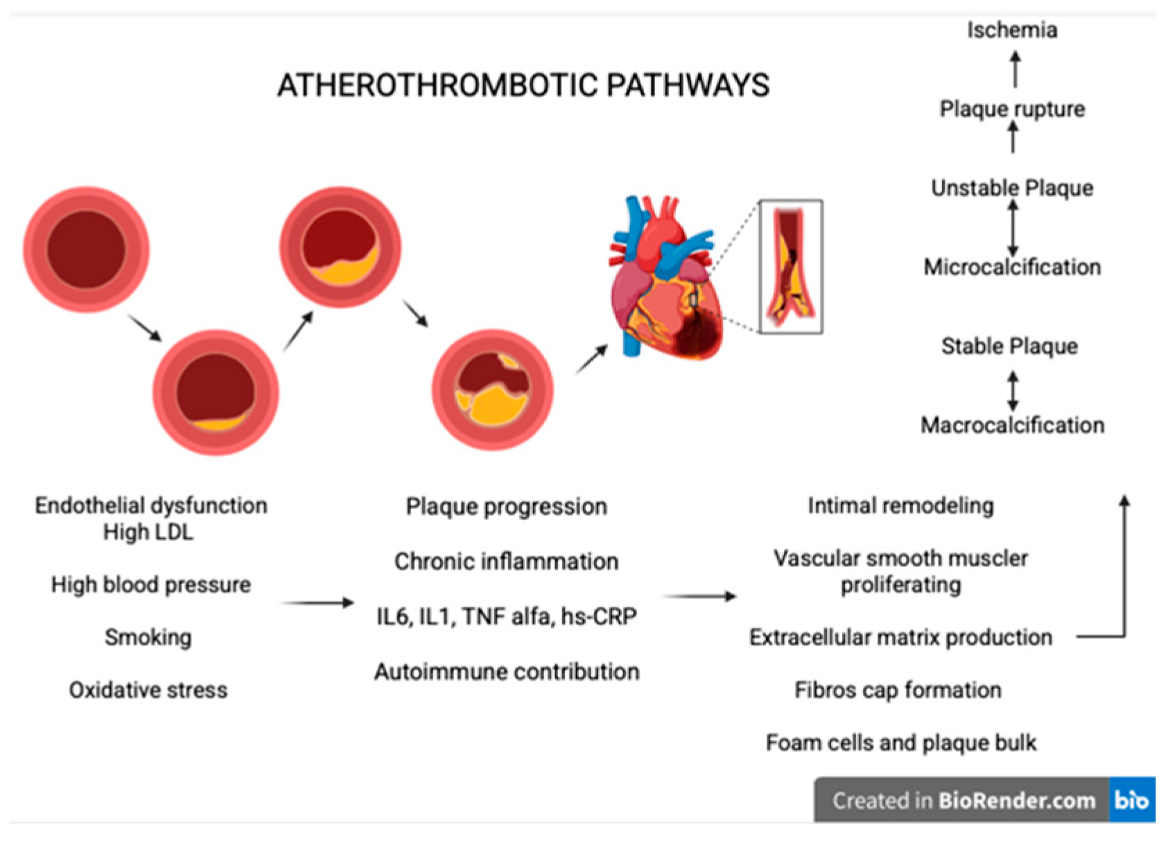 Medicina 61 01615 g004 Medicina 61 01615 g004