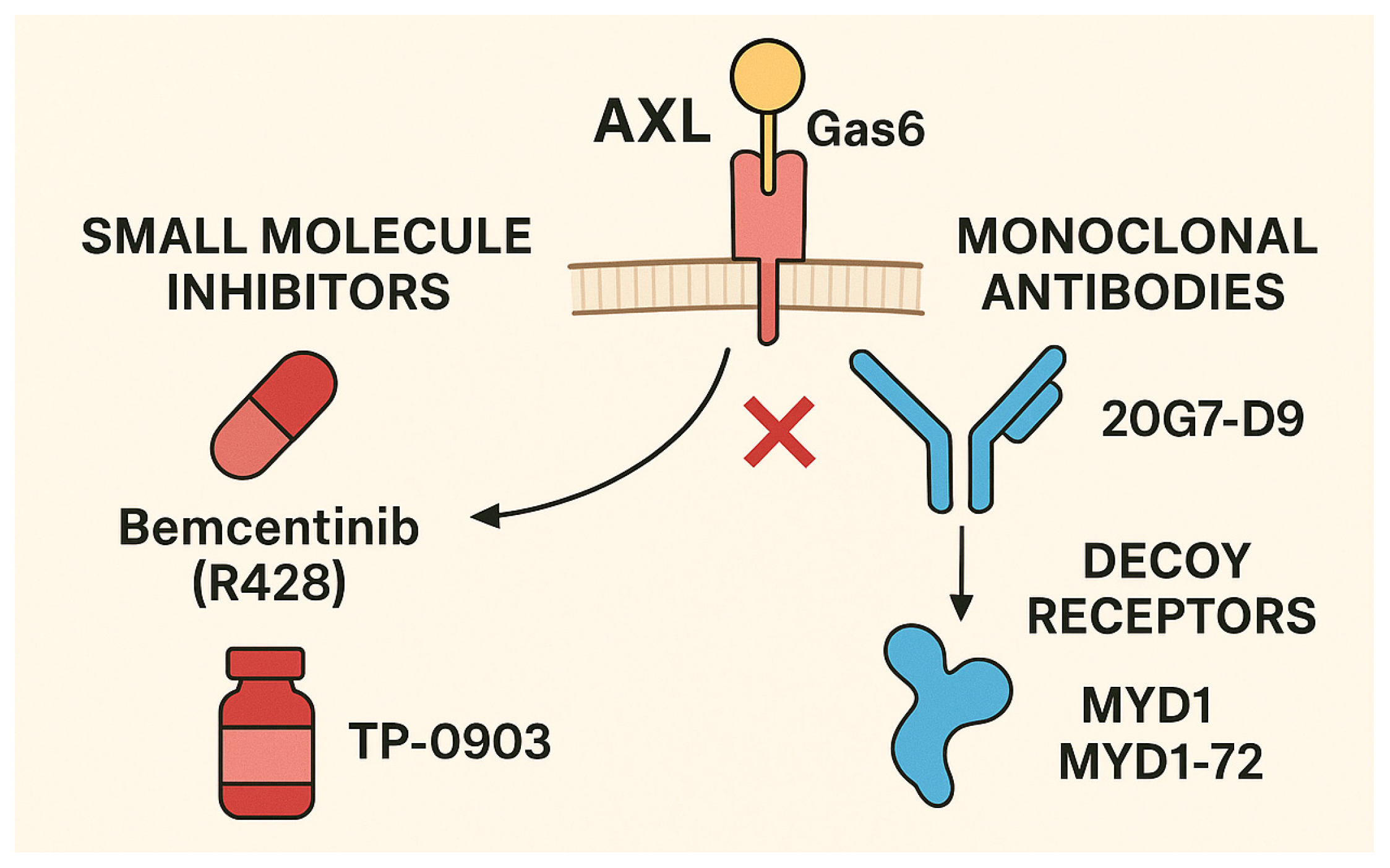 Medicina 61 01619 g003 Medicina 61 01619 g003