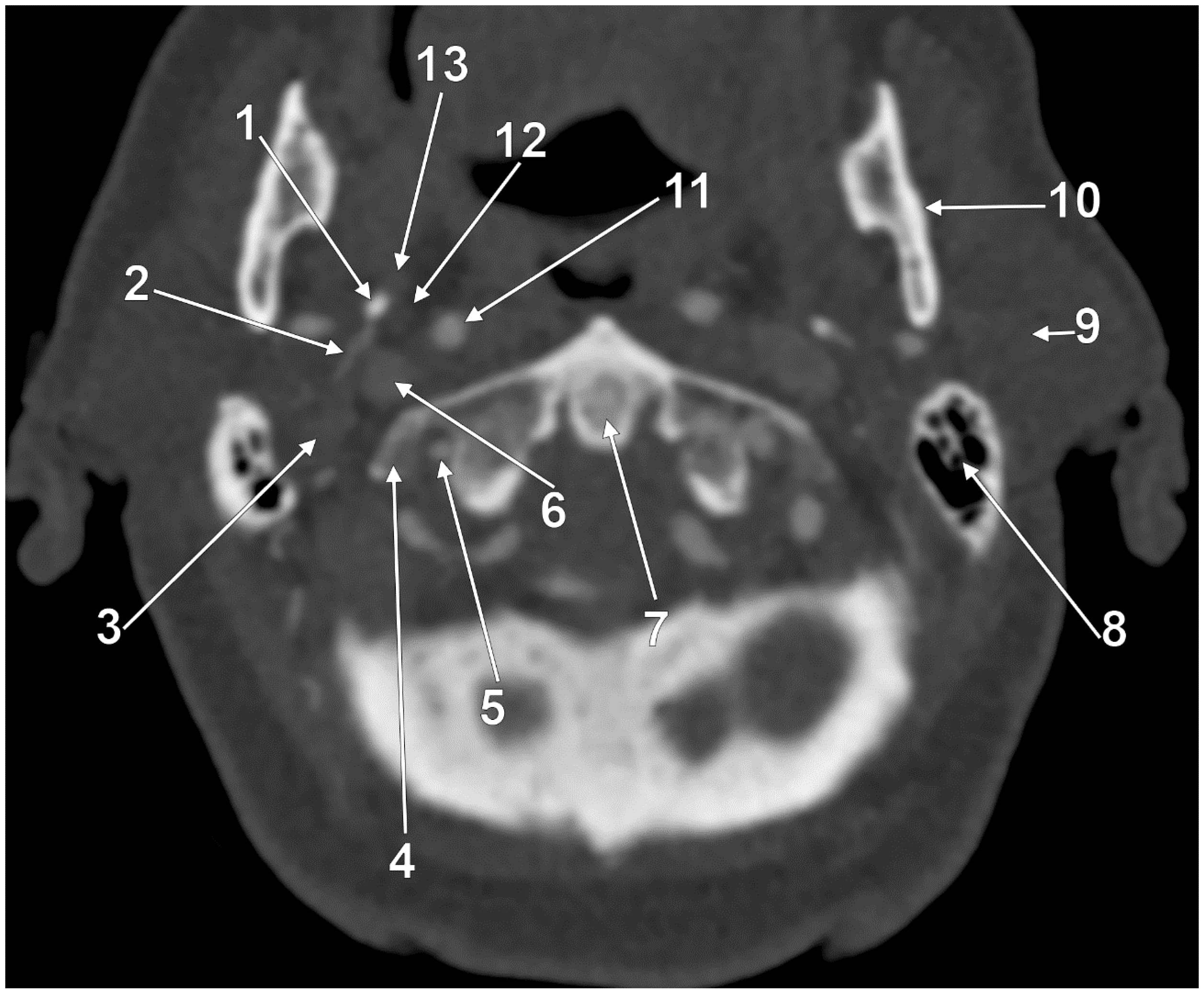 Medicina 61 01627 g001