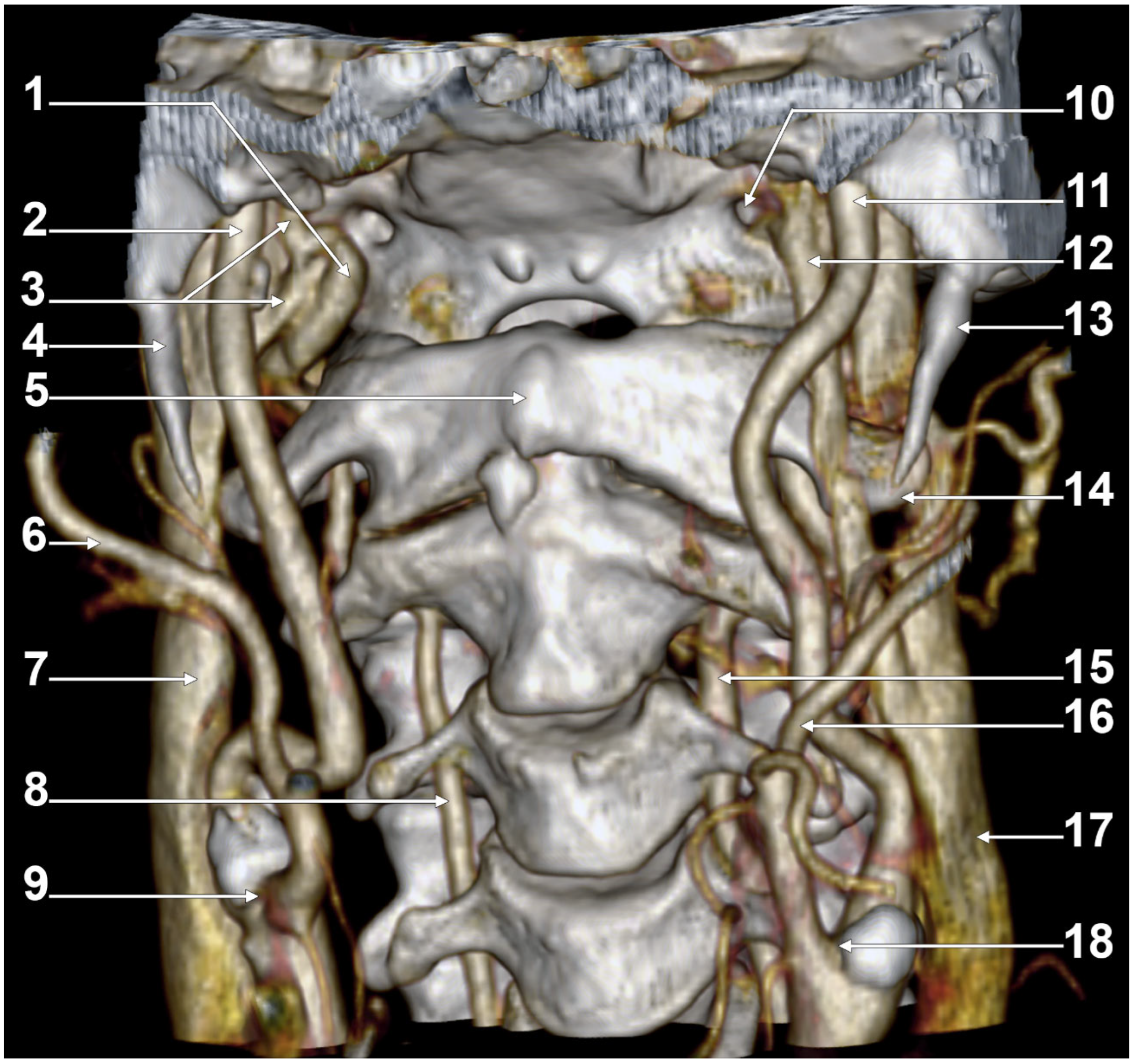 Medicina 61 01627 g007