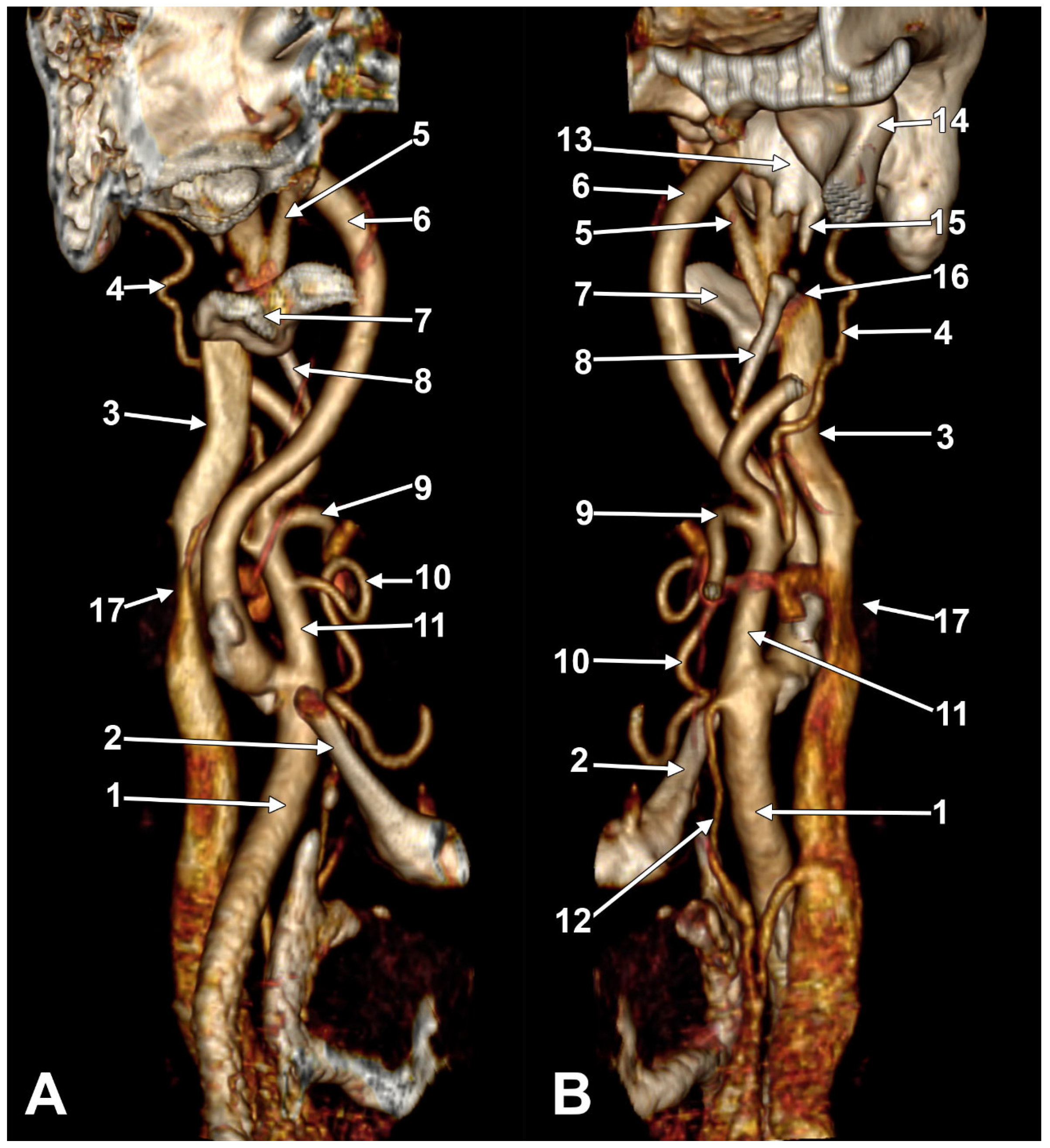 Medicina 61 01627 g009
