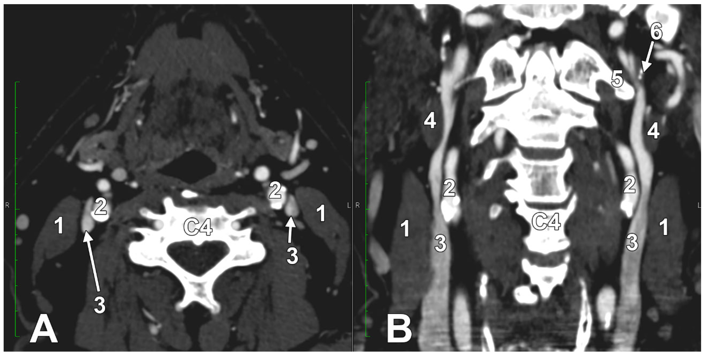 Medicina 61 01627 g010