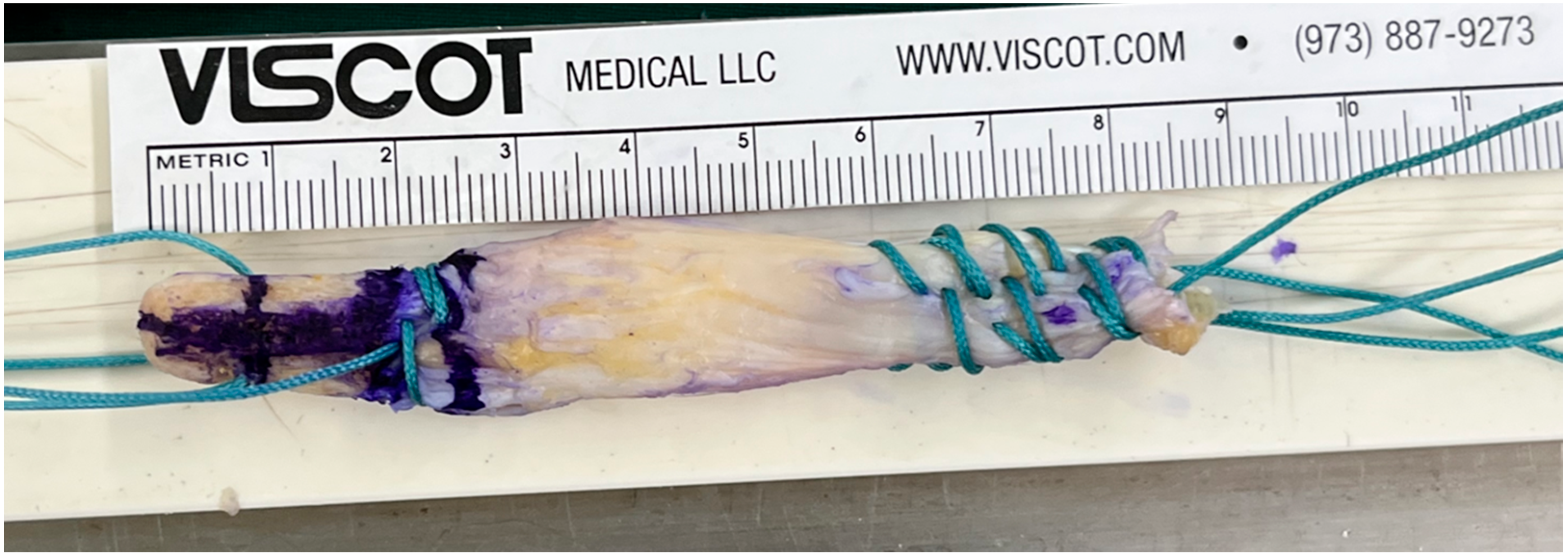 Medicina 61 01634 g001