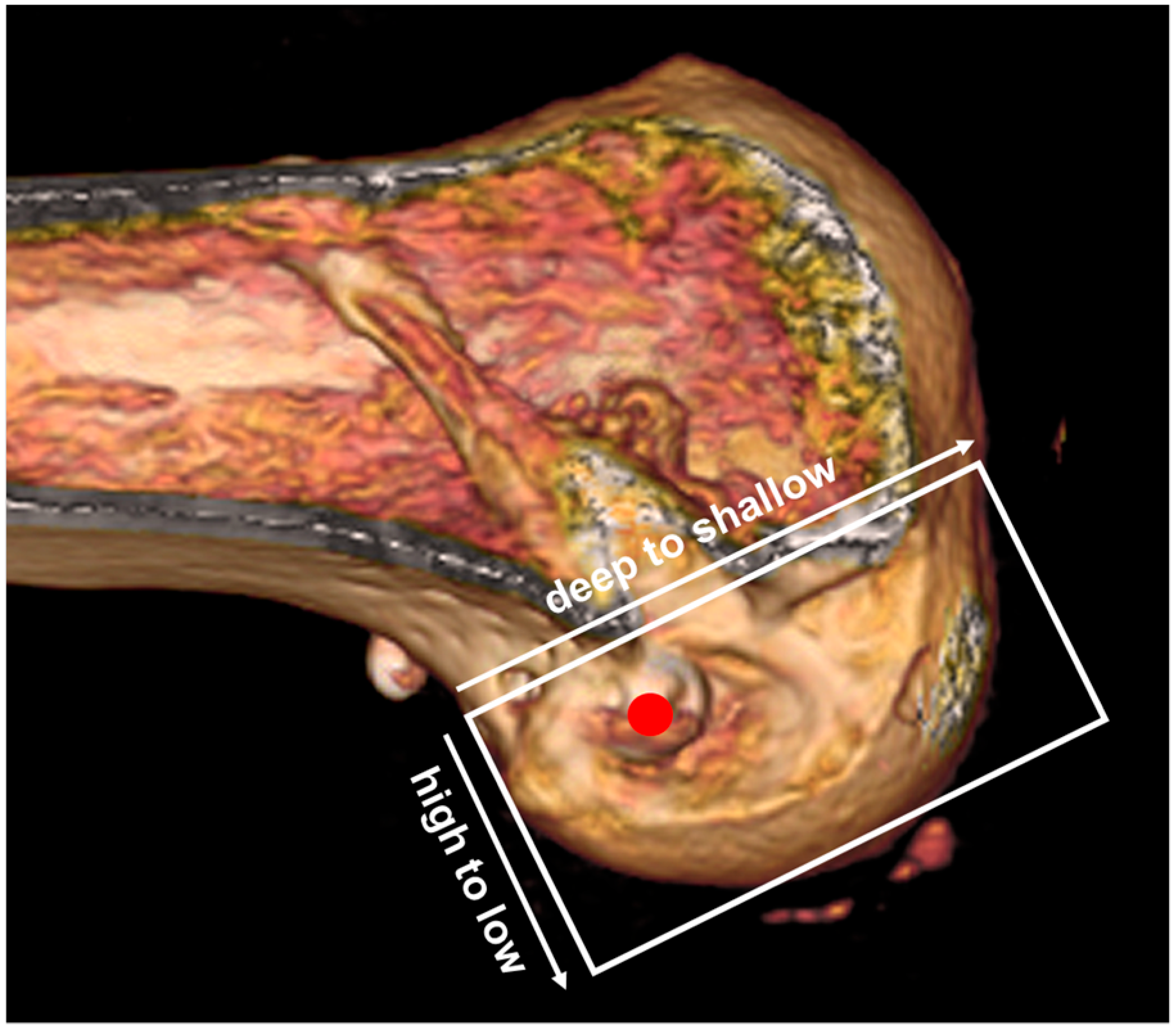 Medicina 61 01634 g004