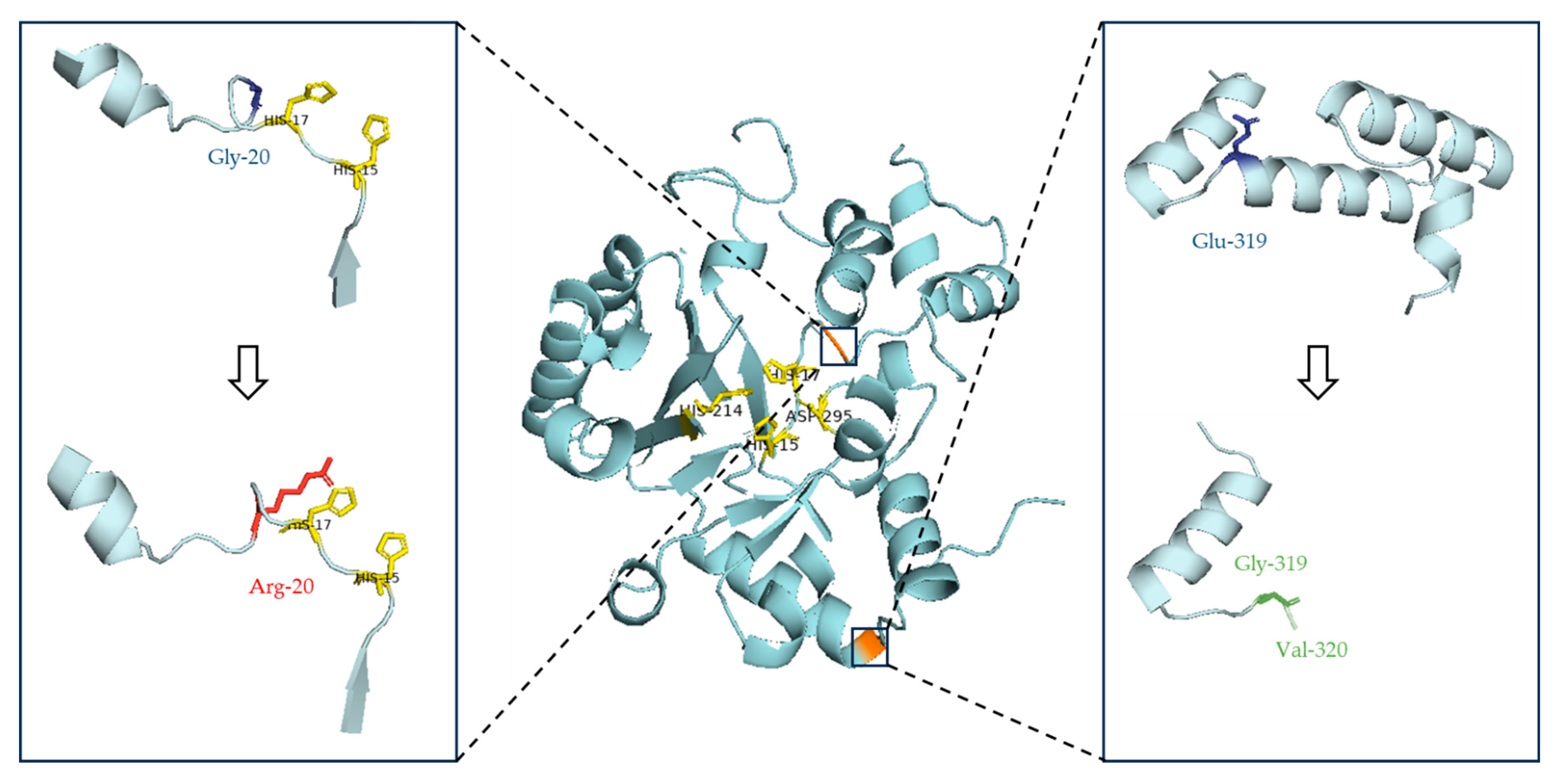 Medicina 61 01644 g001