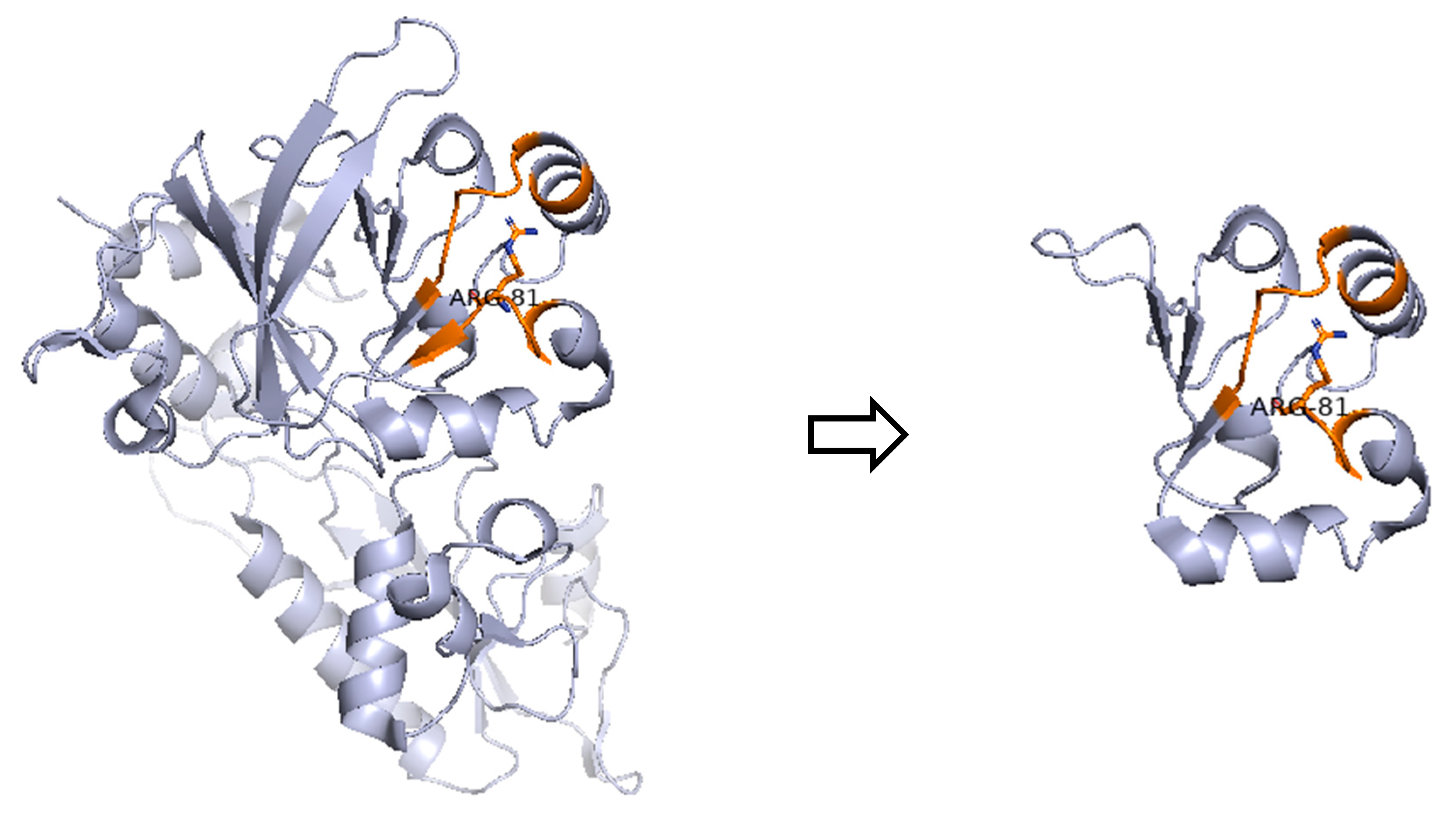 Medicina 61 01644 g002
