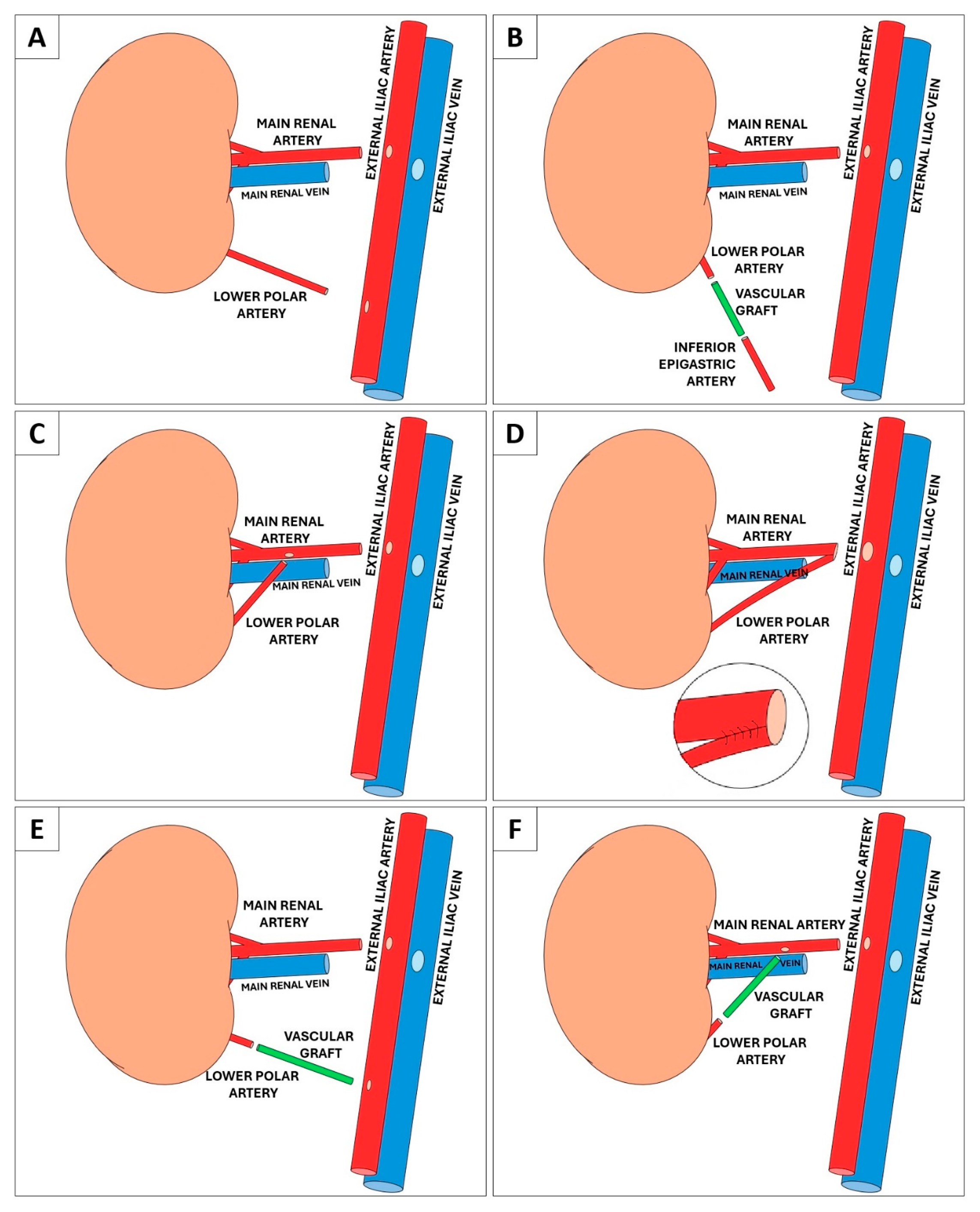 Medicina 61 01645 g001