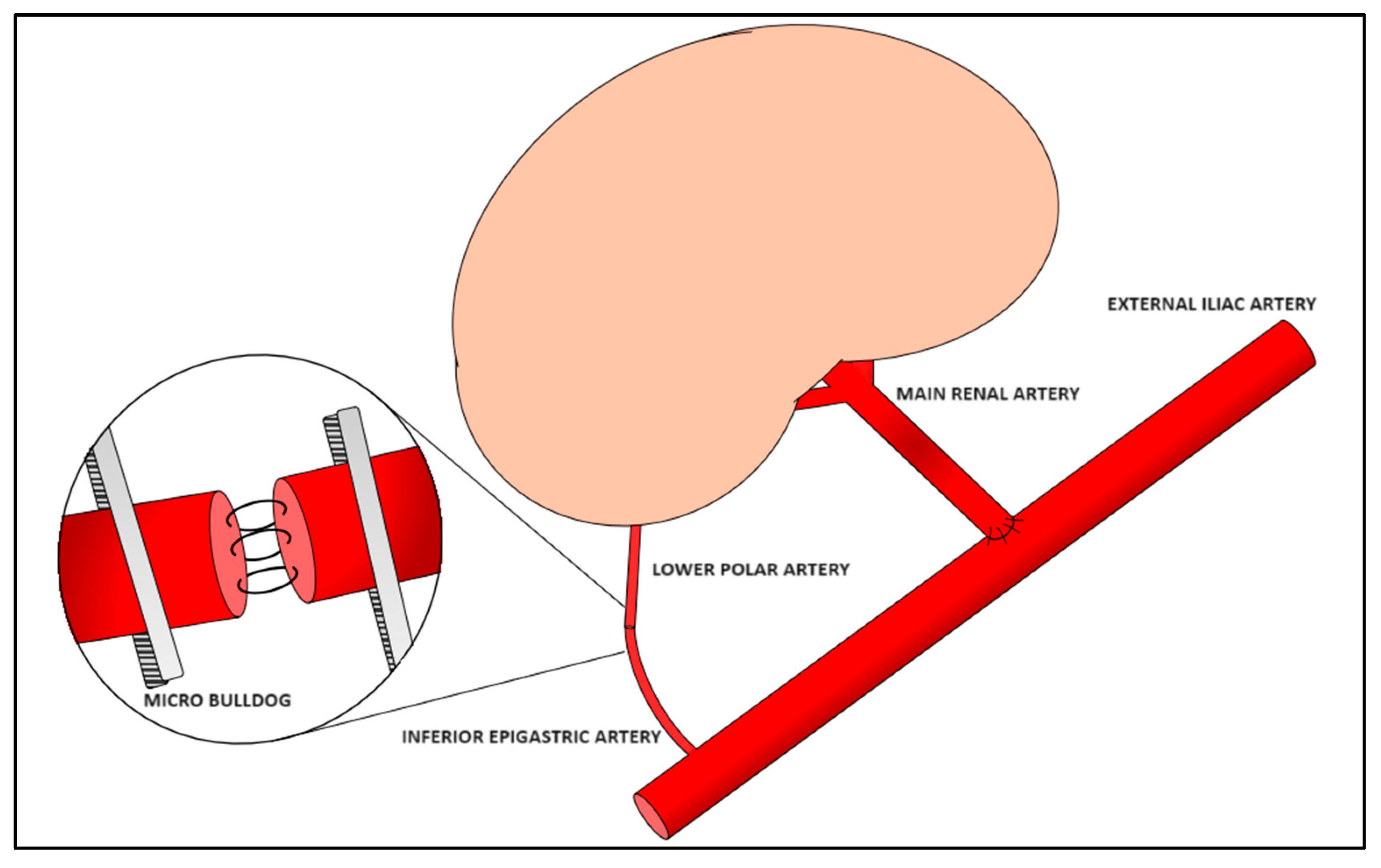 Medicina 61 01645 g002