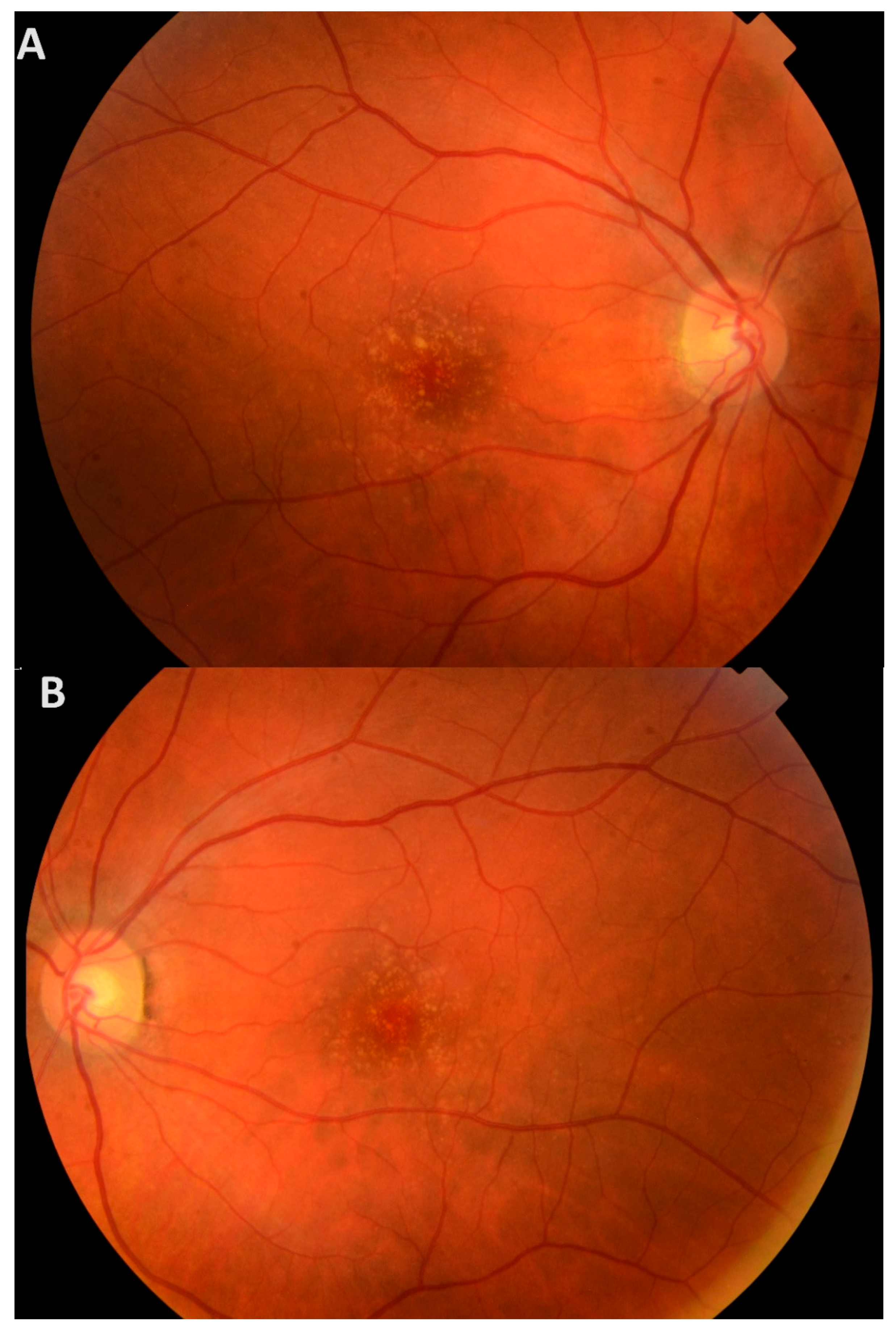 Medicina 61 01649 g002