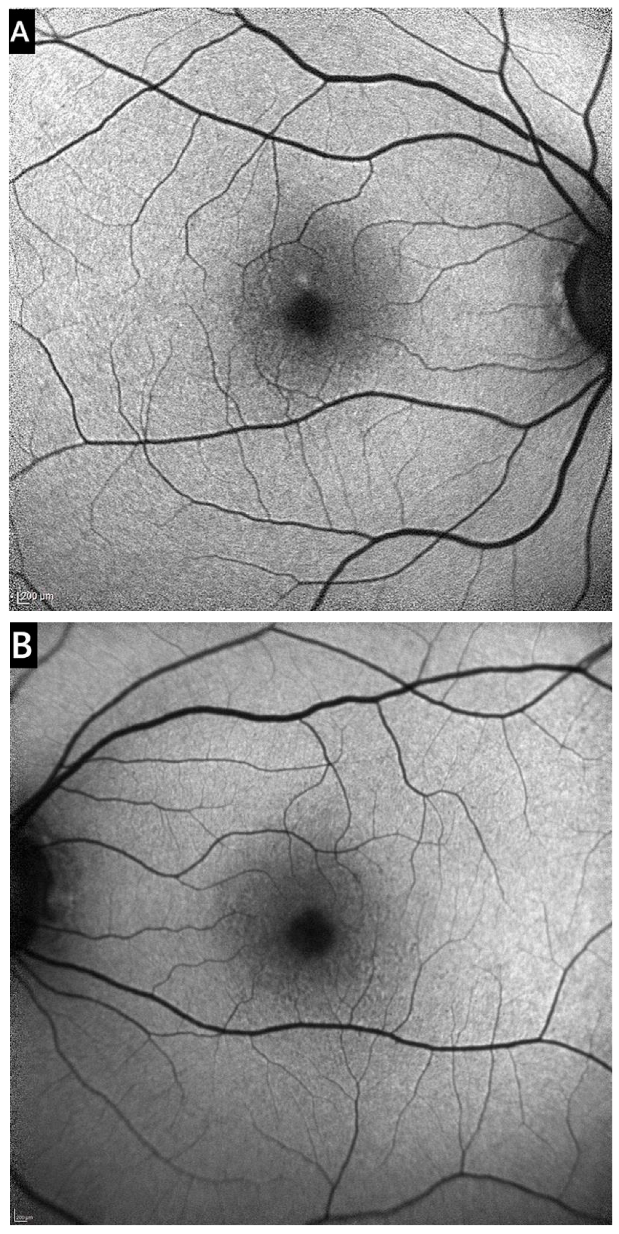 Medicina 61 01649 g003