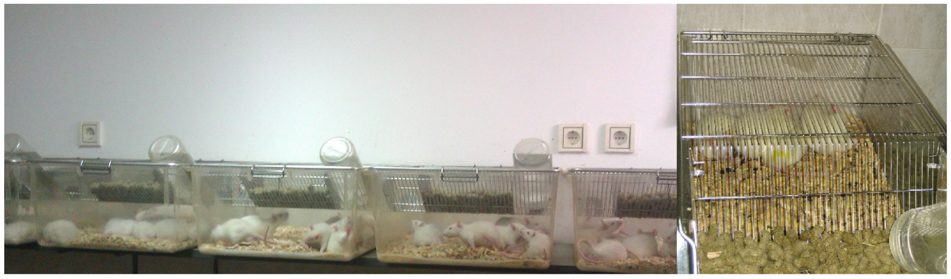 Medicina 61 01651 g001