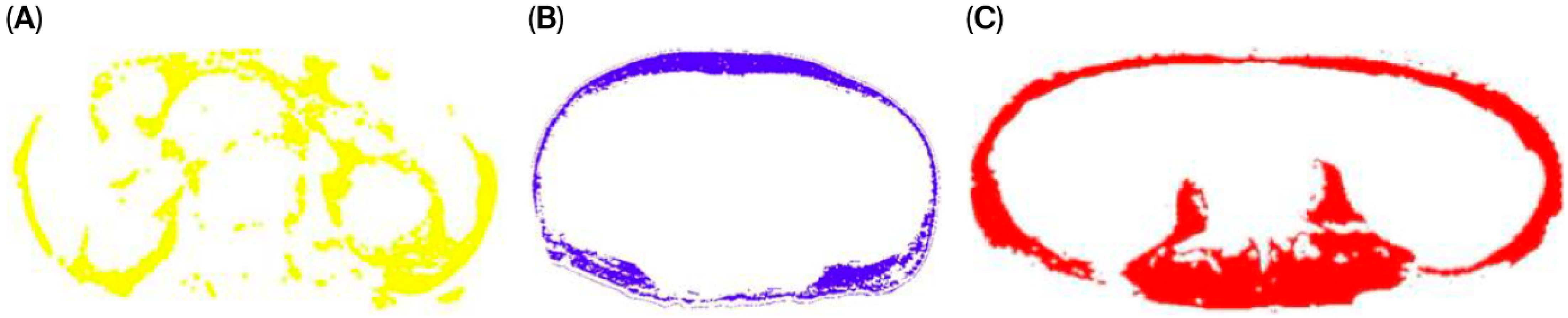 Medicina 61 01655 g001