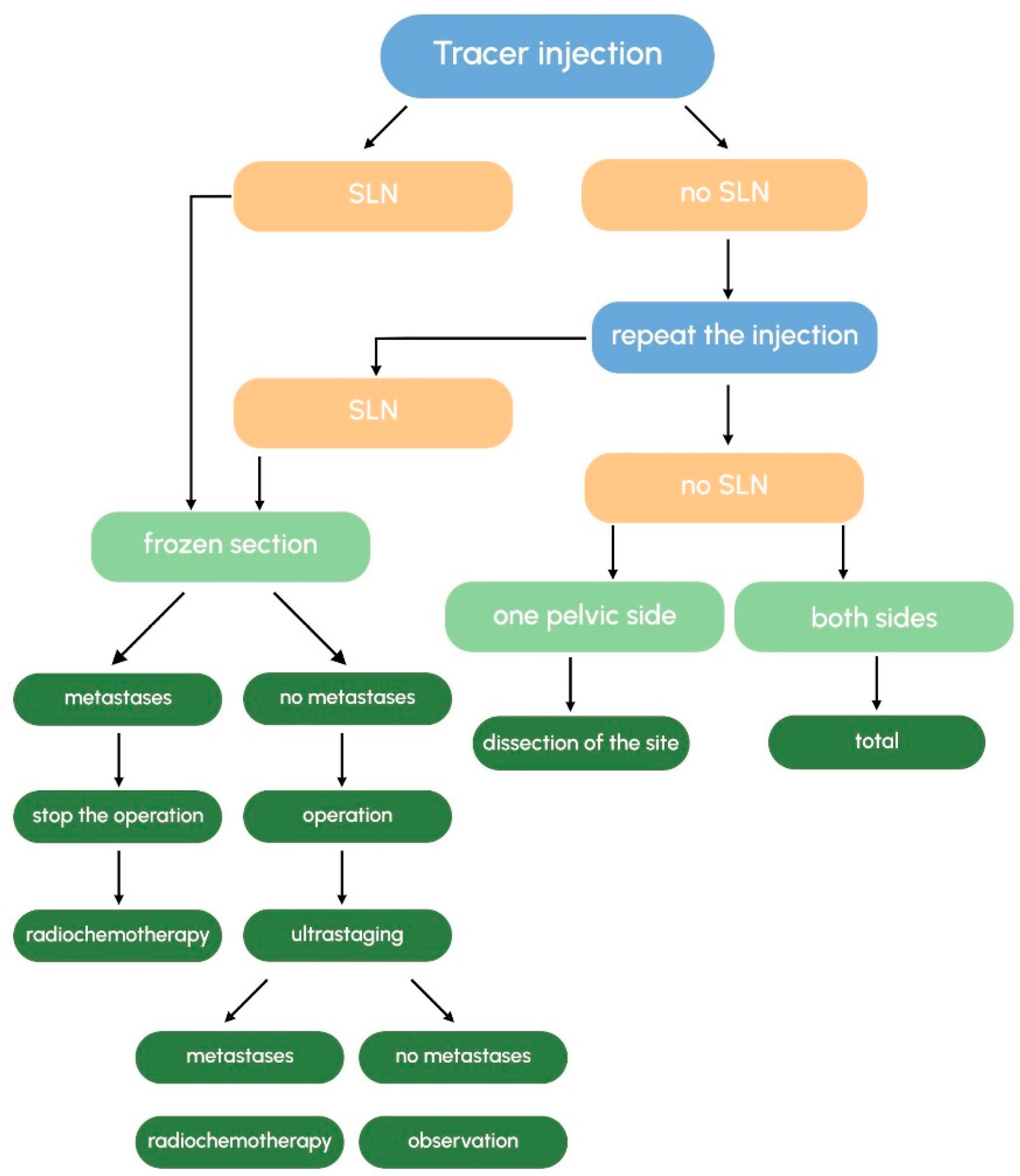 Medicina 61 01660 g002