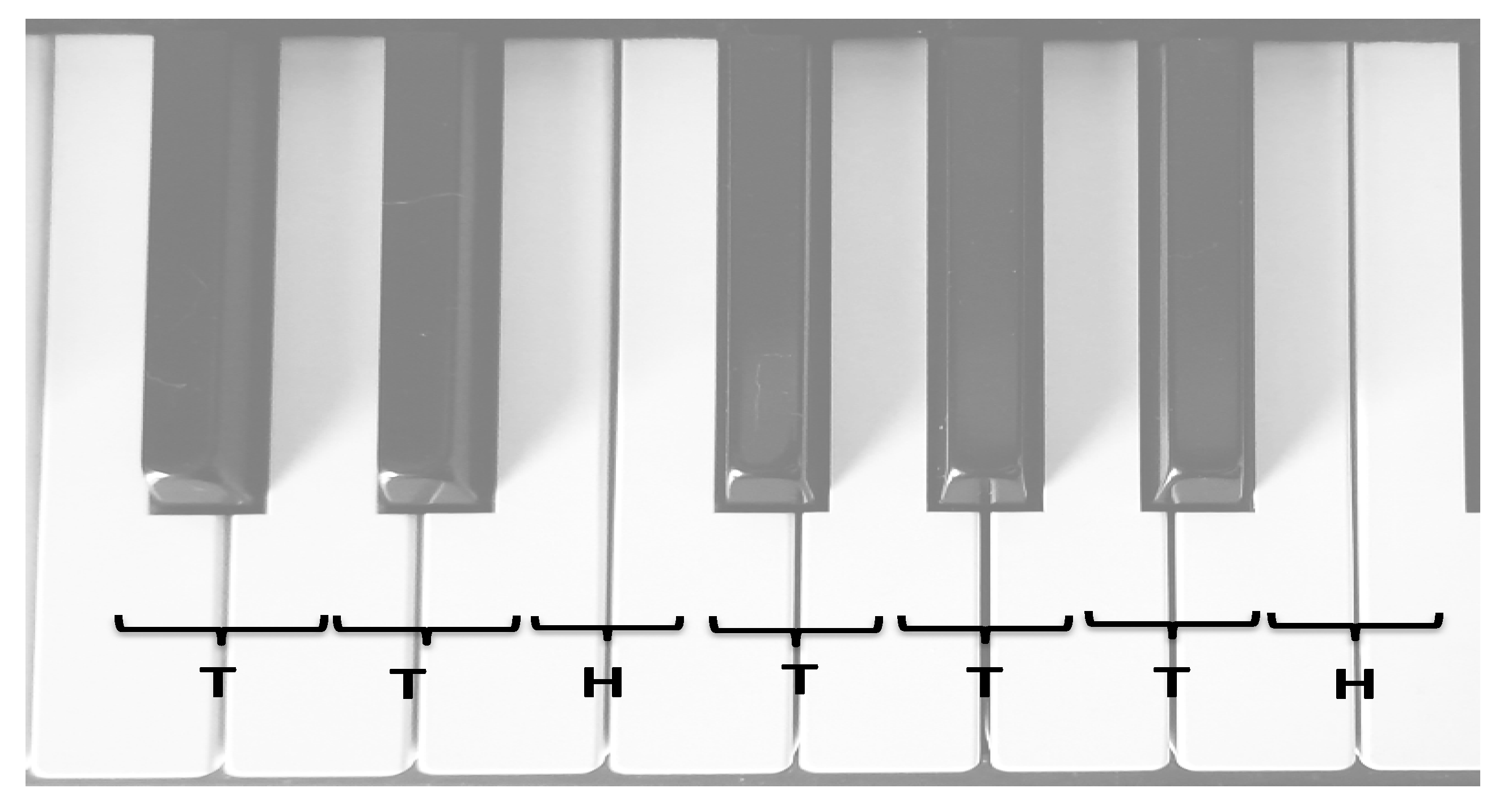 Medicina 61 01690 g003