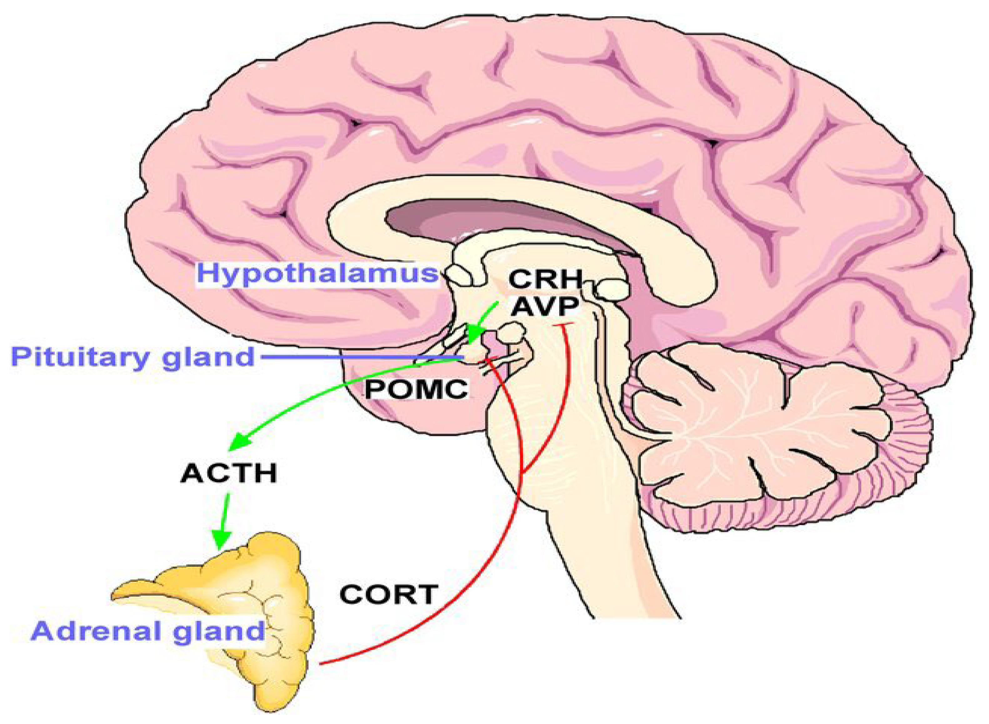 Medicina 61 01690 g008