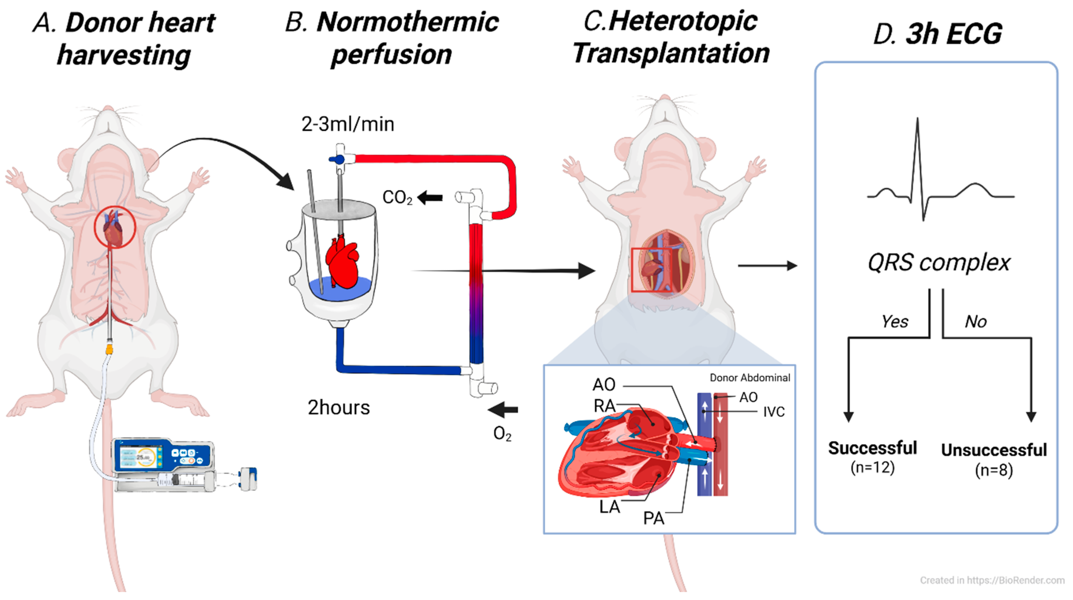 Medicina 61 01696 g001