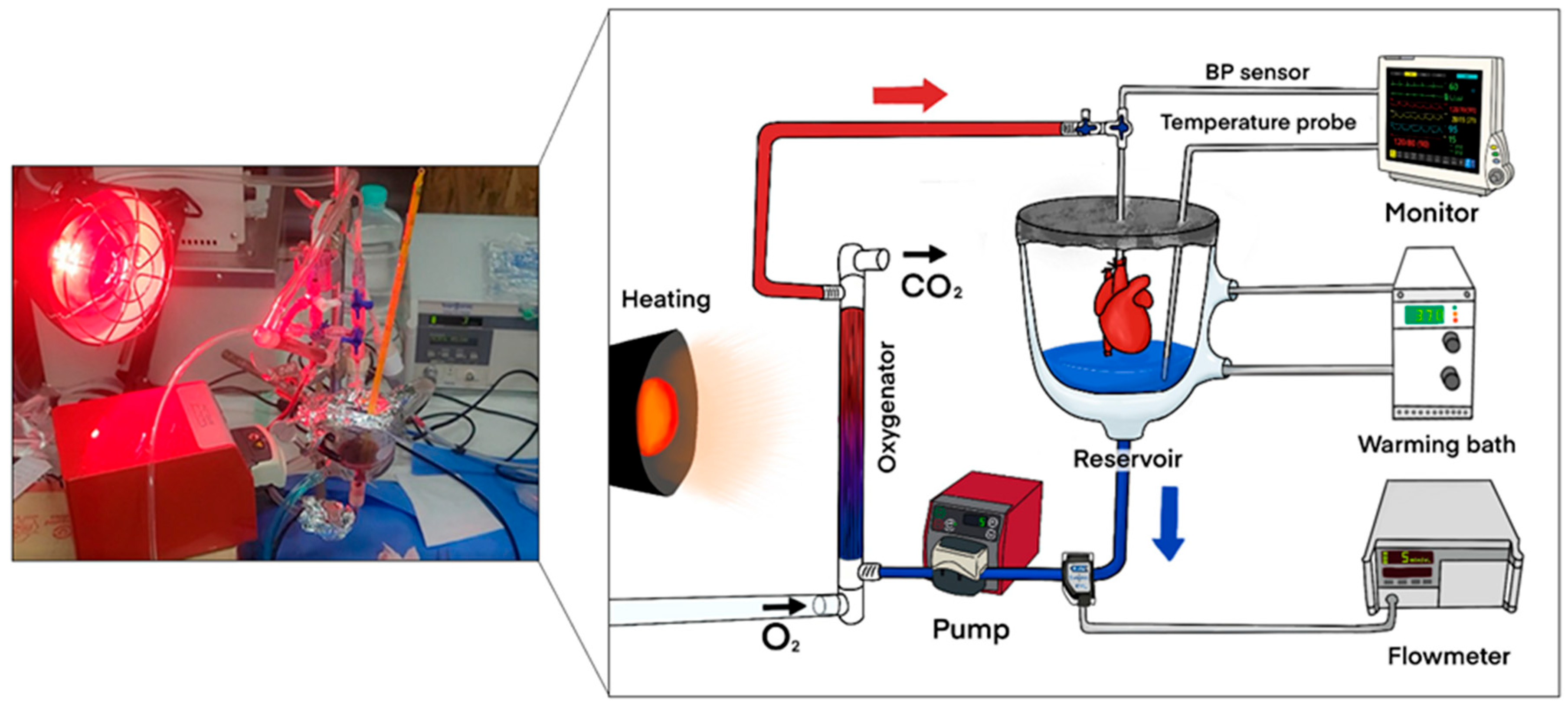 Medicina 61 01696 g002