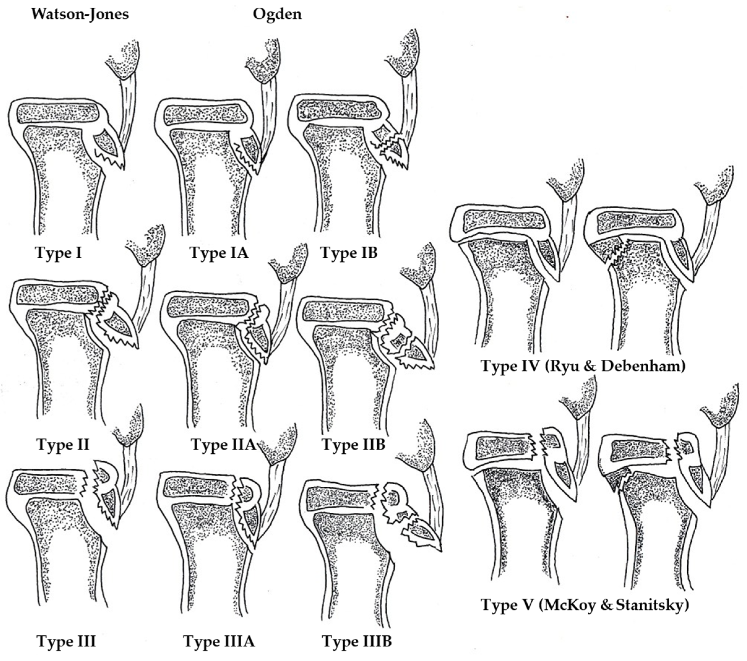Medicina 61 01698 g001