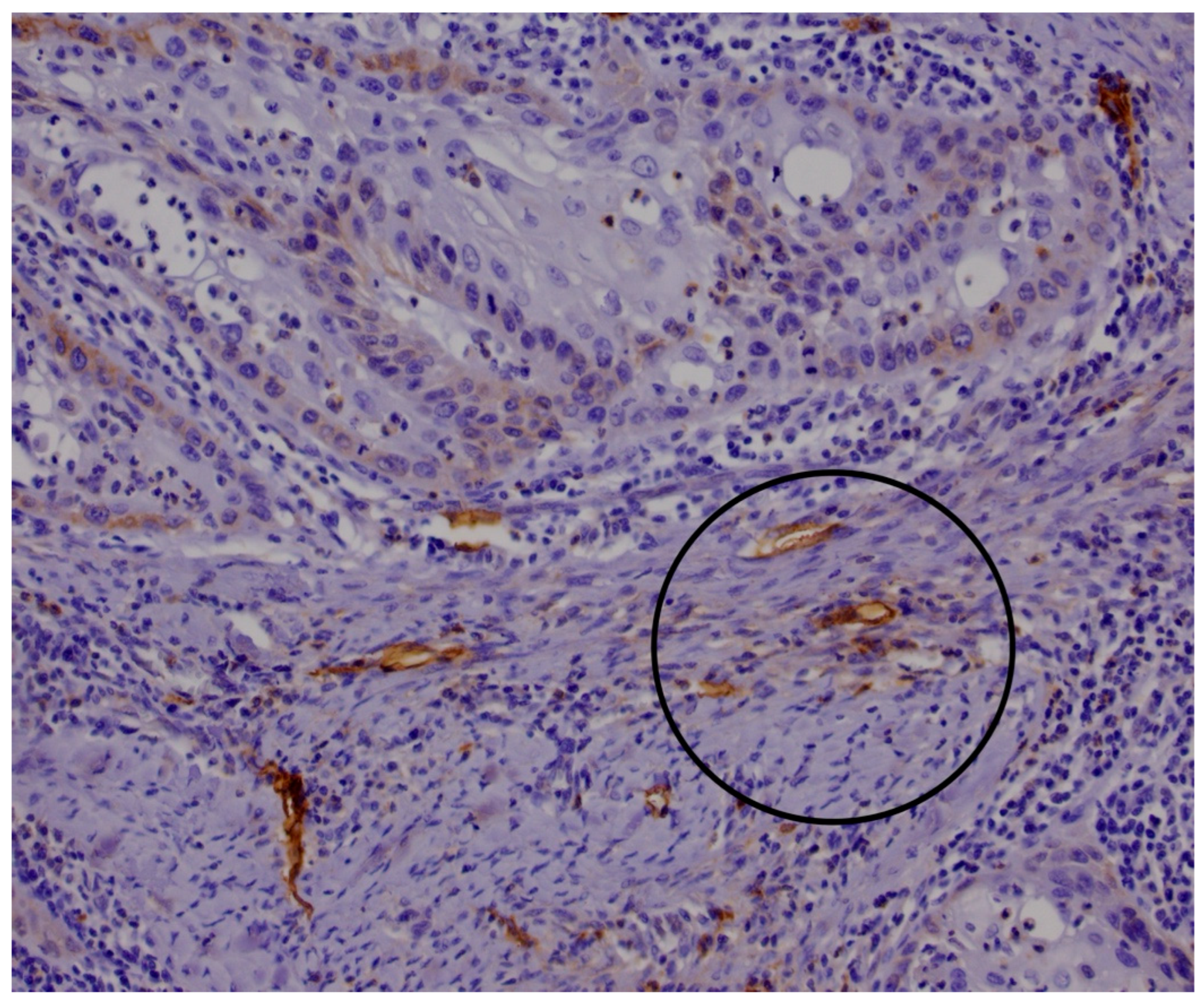 Medicina 61 01712 g001 Medicina 61 01712 g001