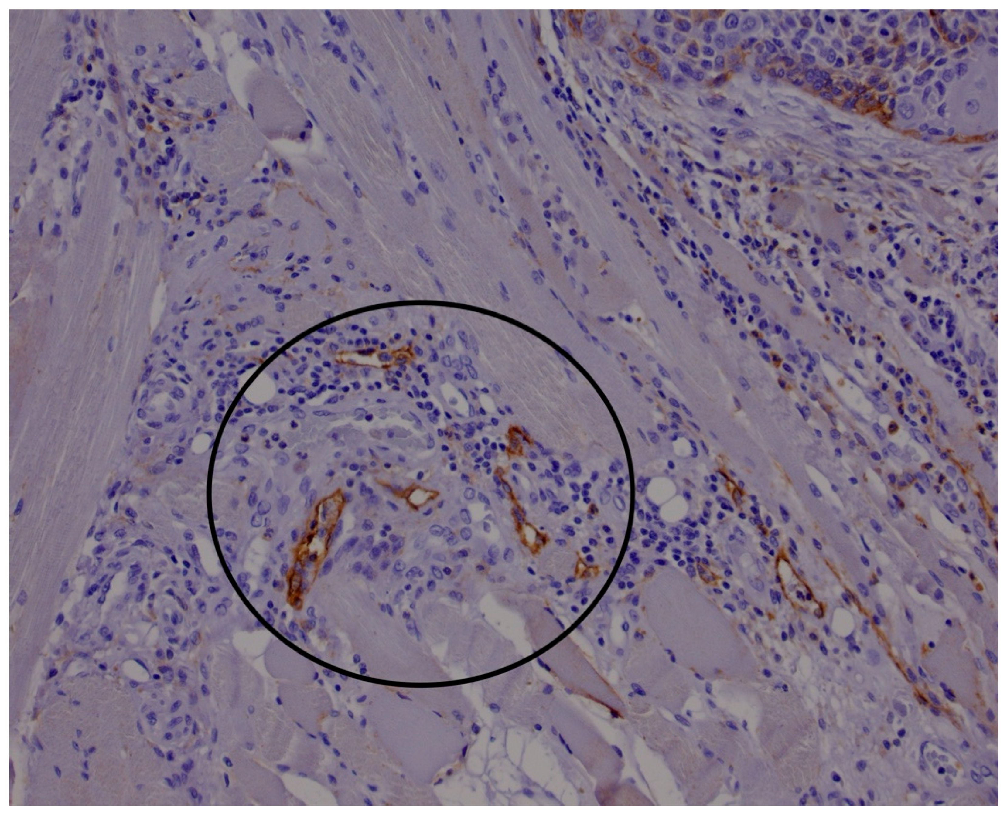 Medicina 61 01712 g002 Medicina 61 01712 g002