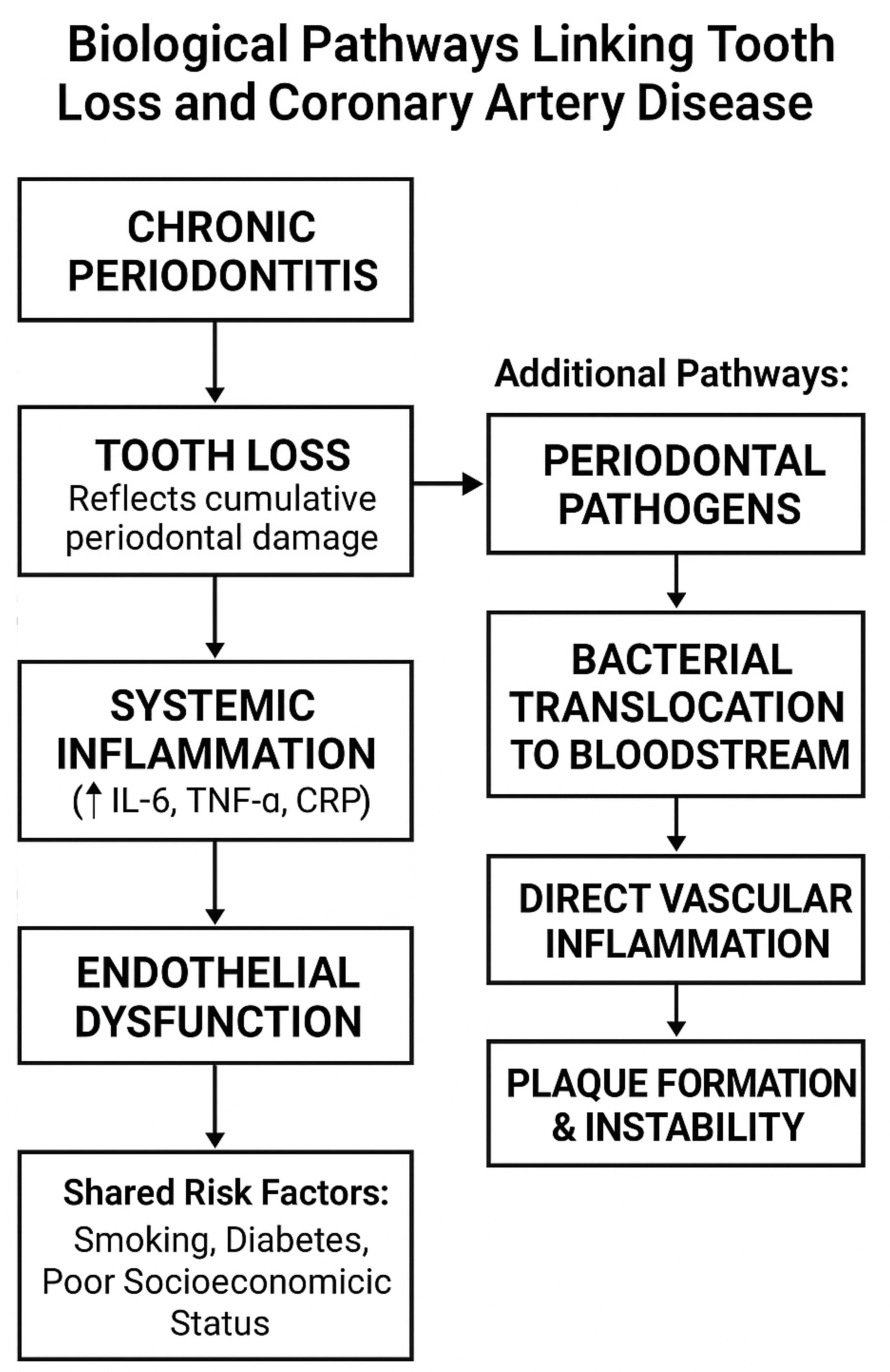 Medicina 61 01714 g001