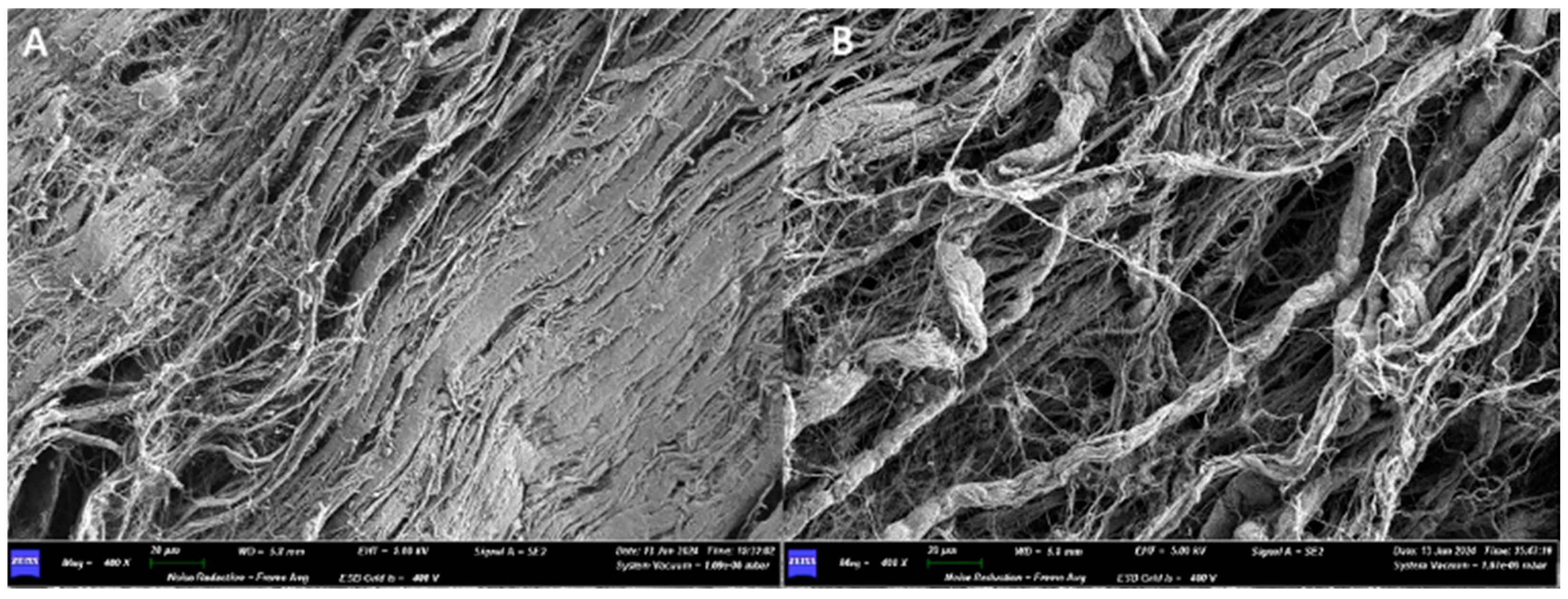 Medicina 61 01720 g003 Medicina 61 01720 g003