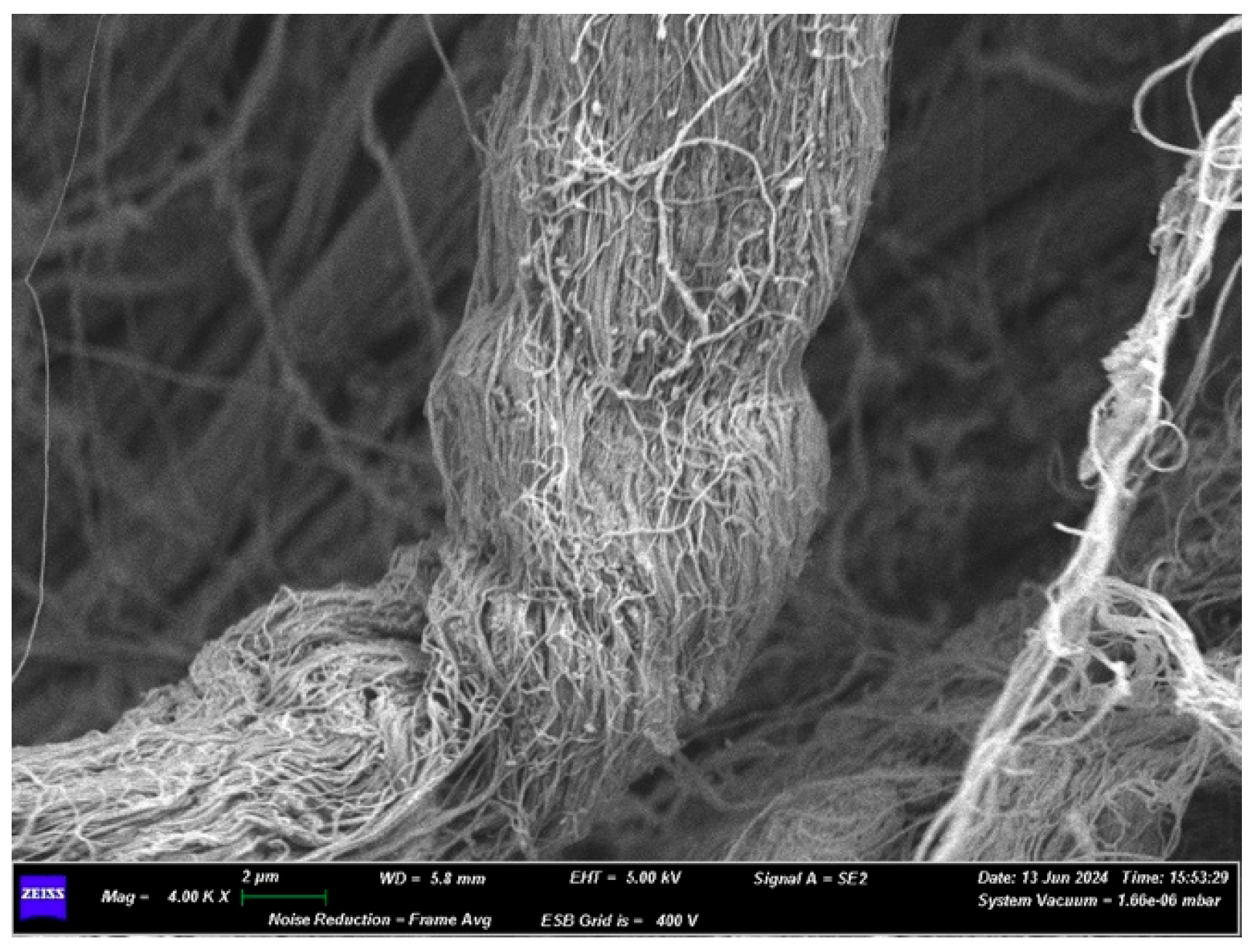 Medicina 61 01720 g004 Medicina 61 01720 g004