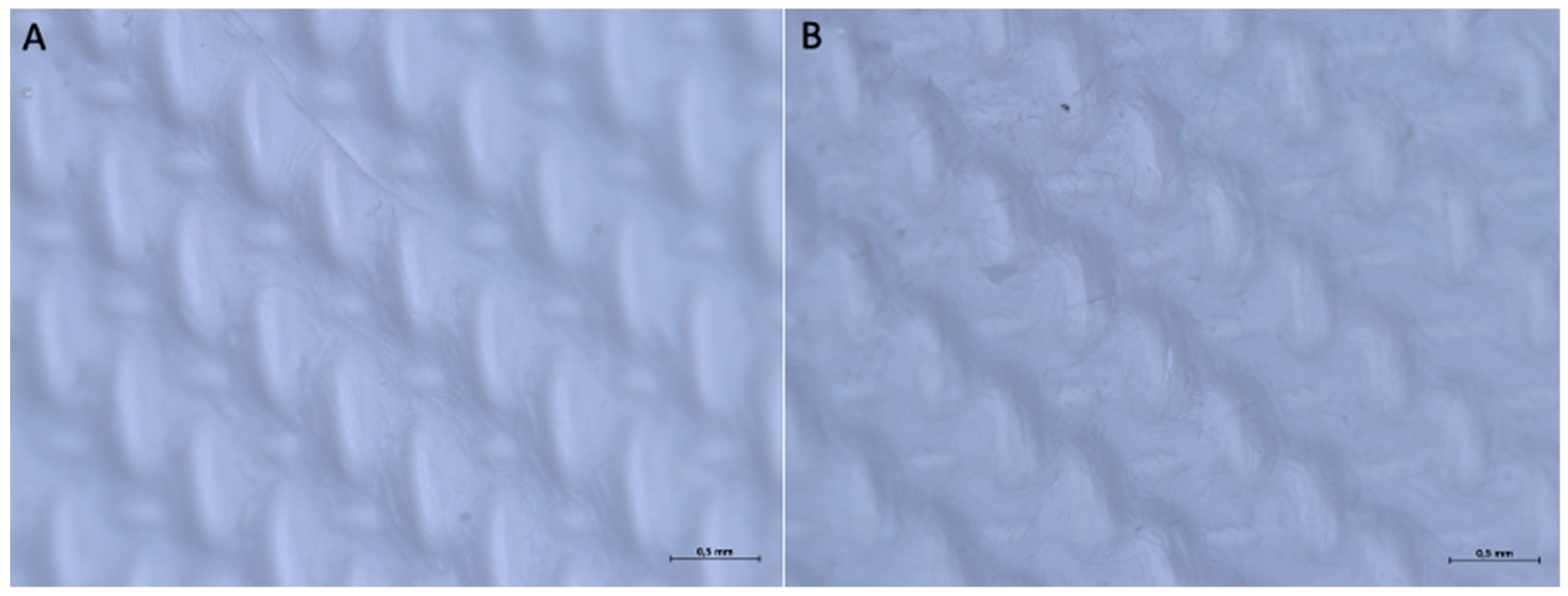 Medicina 61 01720 g006 Medicina 61 01720 g006