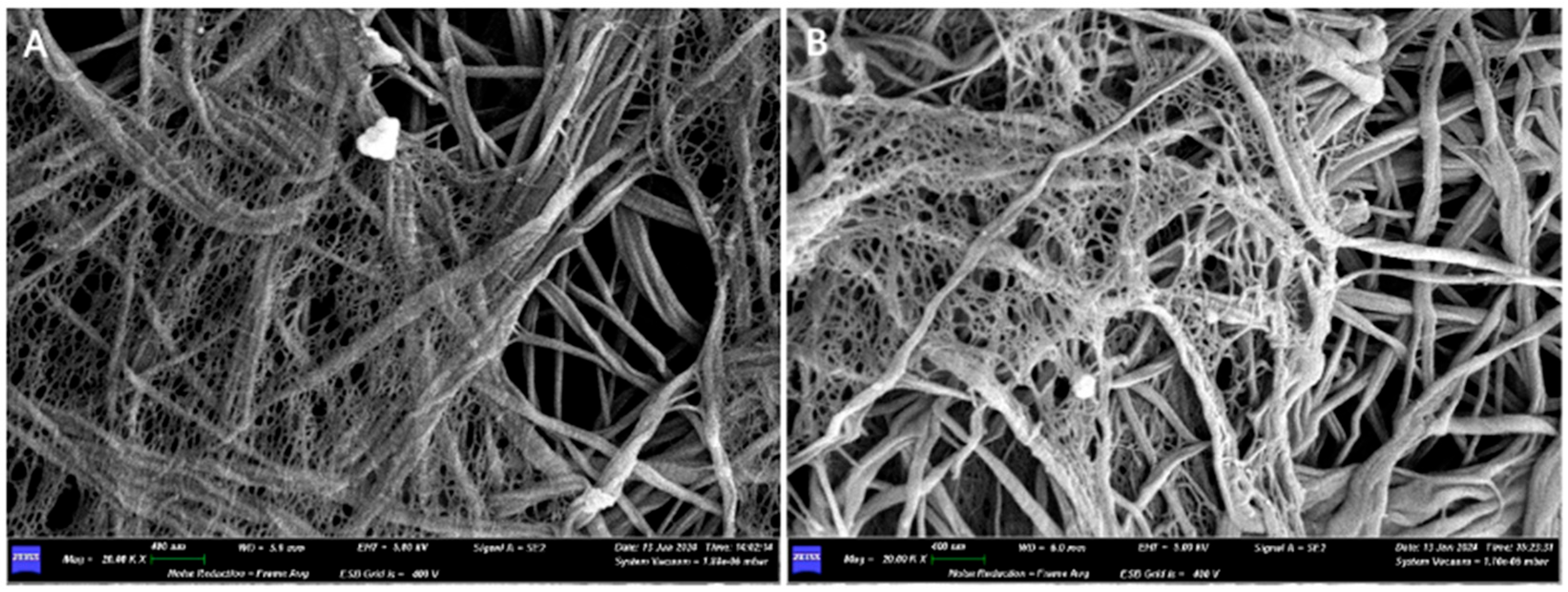 Medicina 61 01720 g008 Medicina 61 01720 g008