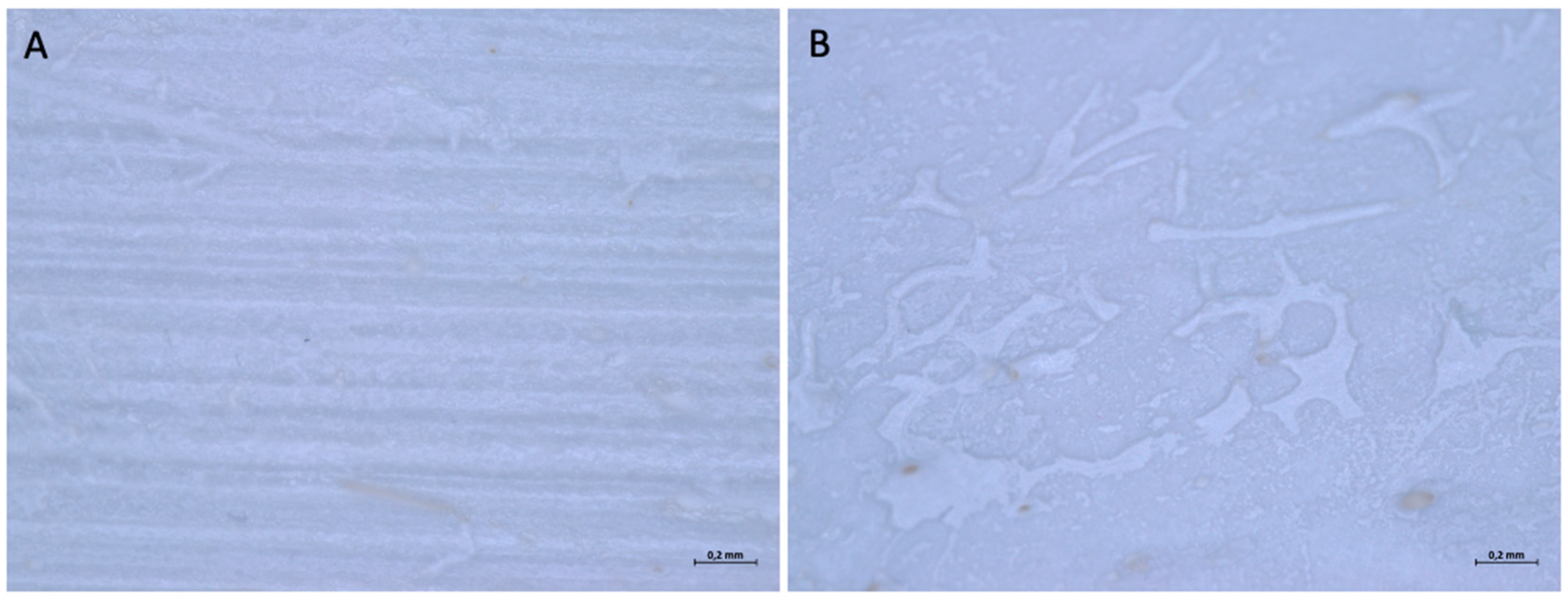Medicina 61 01720 g010 Medicina 61 01720 g010