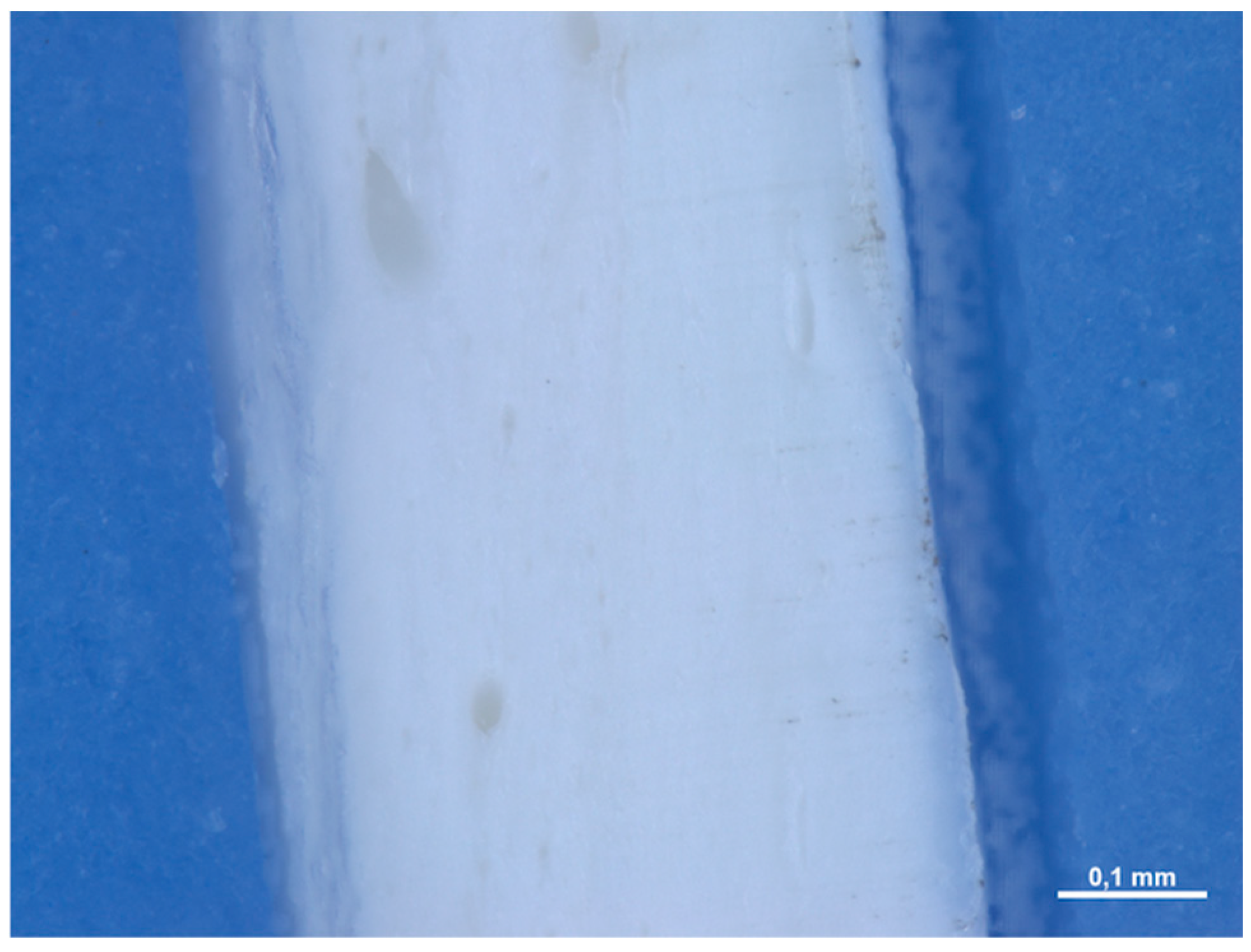 Medicina 61 01720 g011 Medicina 61 01720 g011