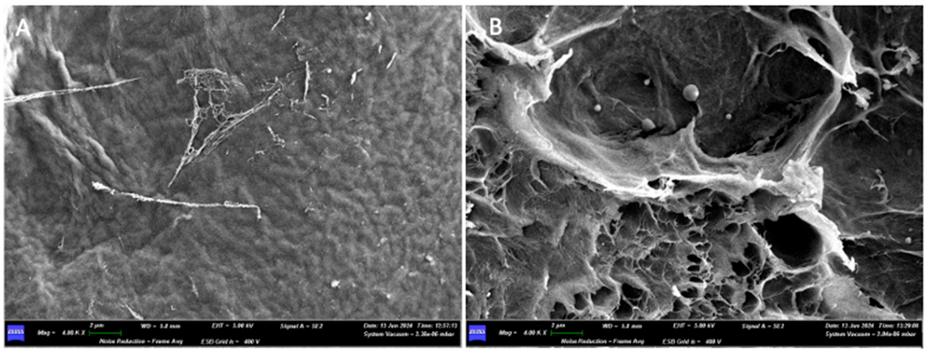 Medicina 61 01720 g012 Medicina 61 01720 g012
