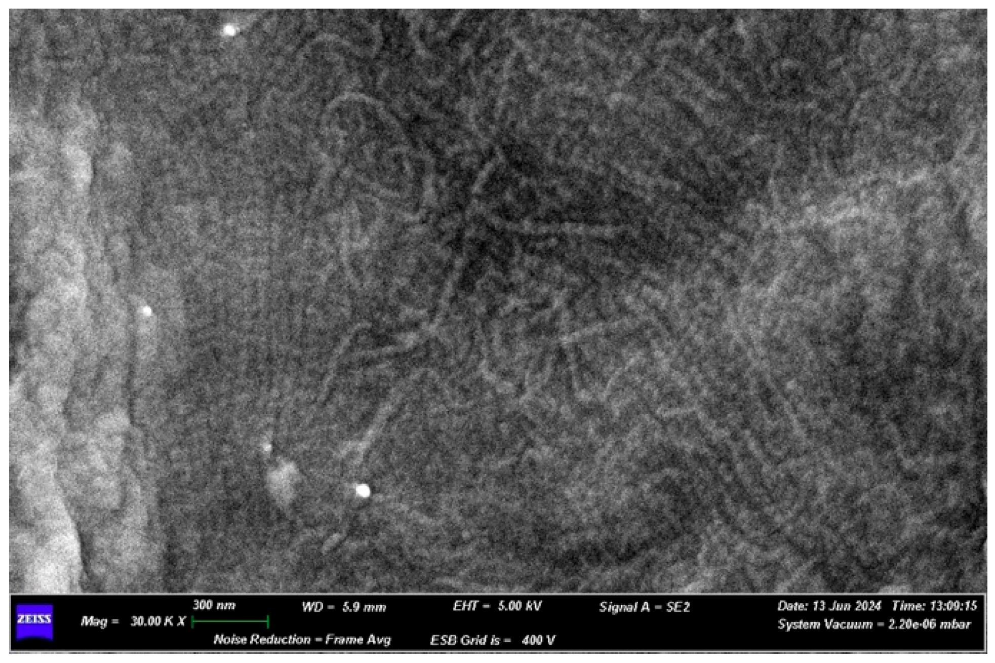 Medicina 61 01720 g013 Medicina 61 01720 g013