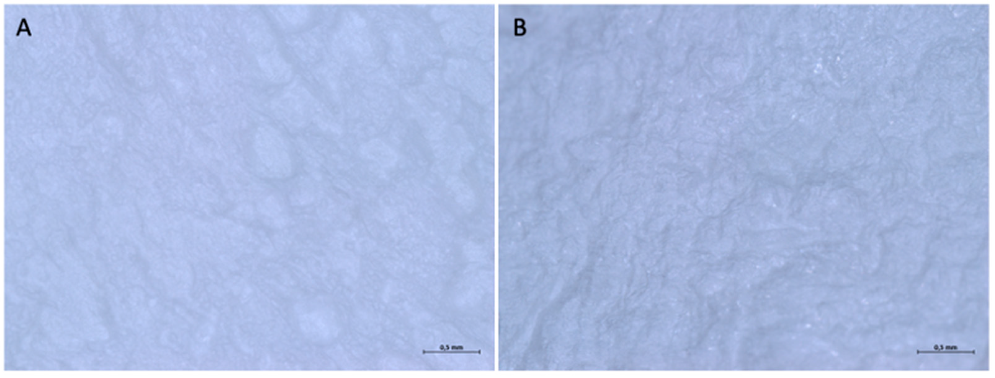 Medicina 61 01720 g015 Medicina 61 01720 g015