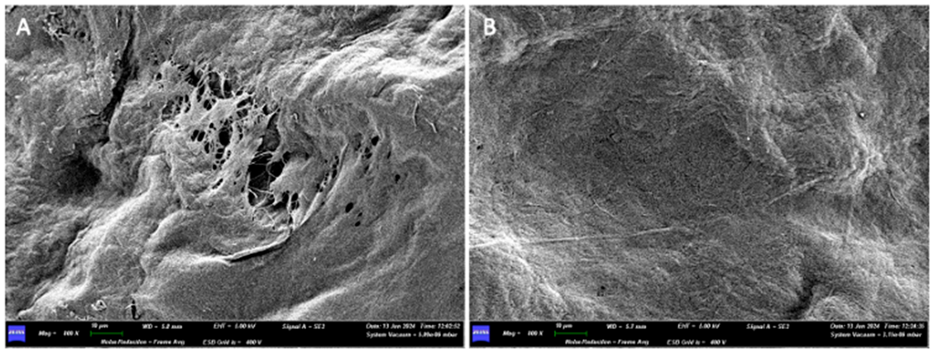 Medicina 61 01720 g017 Medicina 61 01720 g017