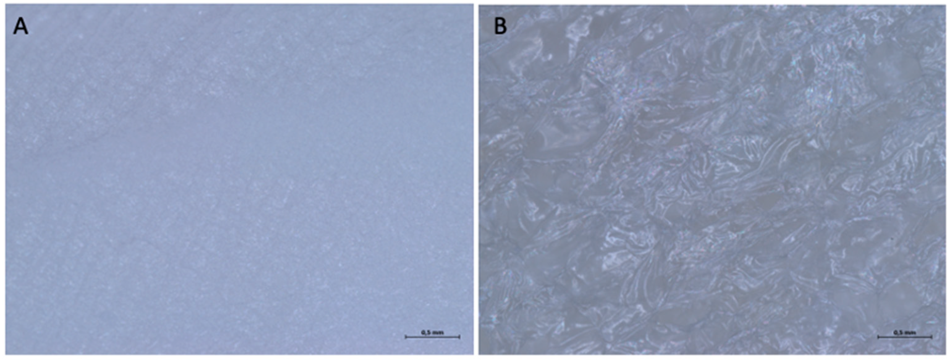Medicina 61 01720 g020 Medicina 61 01720 g020