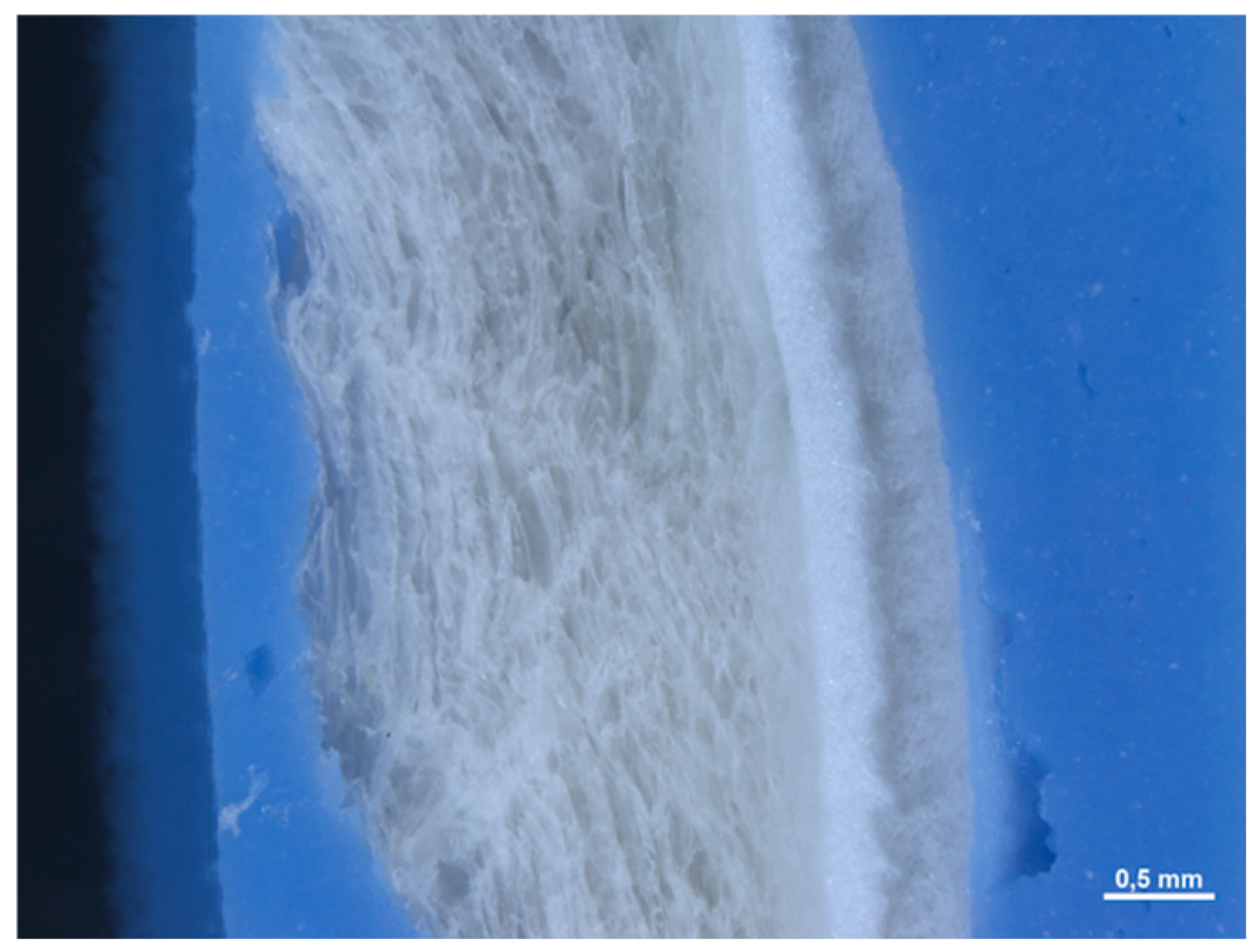 Medicina 61 01720 g021 Medicina 61 01720 g021