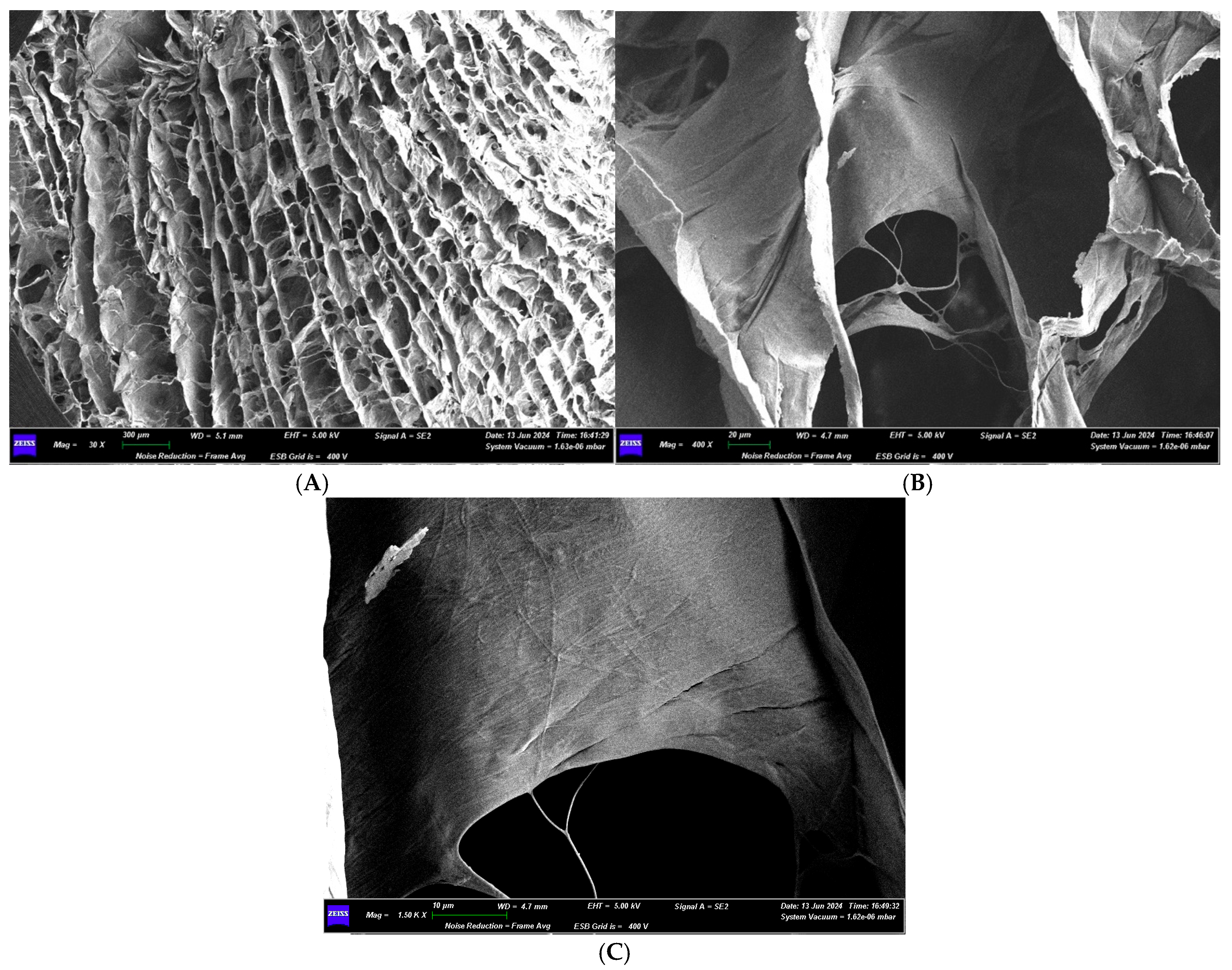 Medicina 61 01720 g023 Medicina 61 01720 g023
