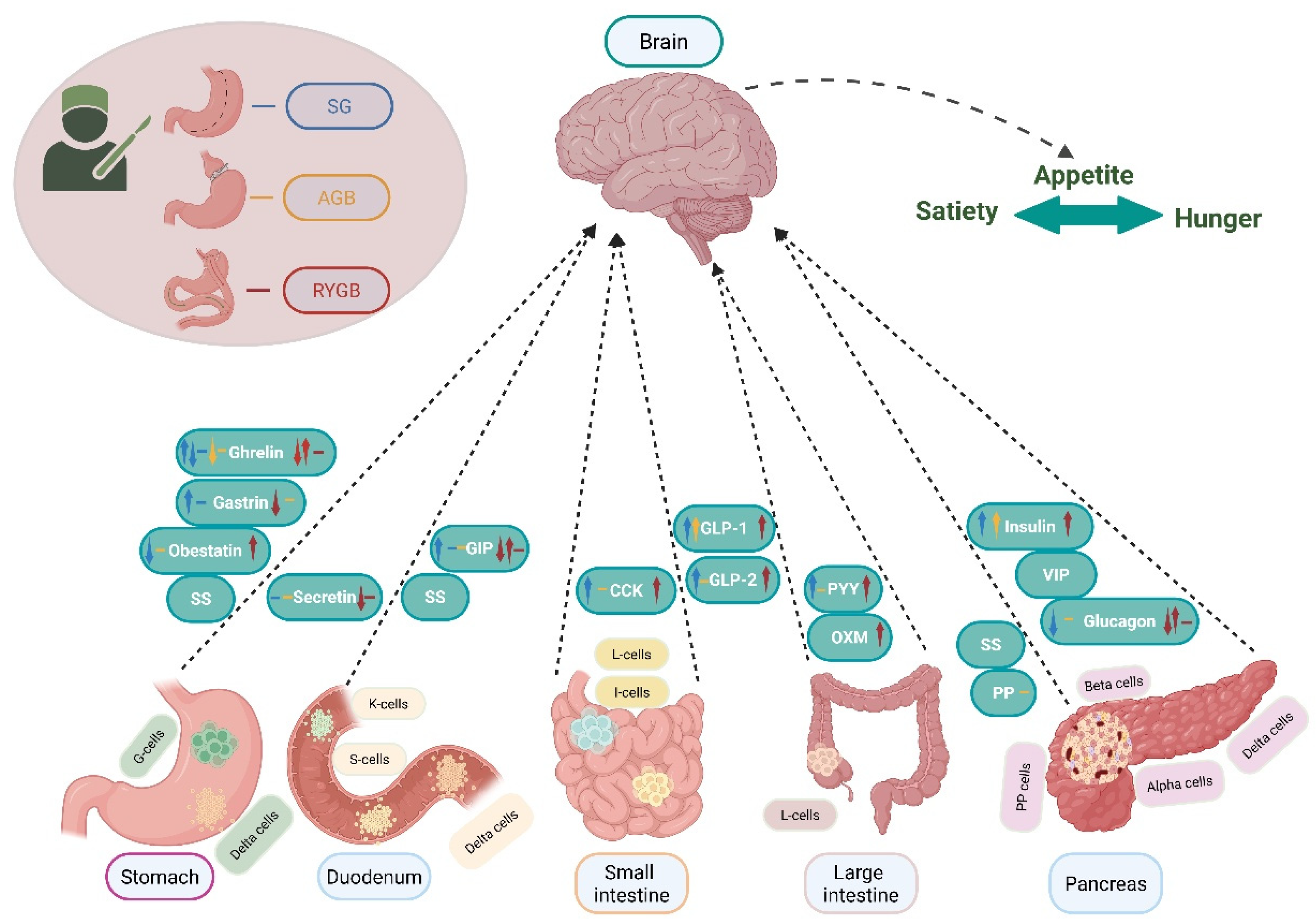Medicina 61 01724 g002