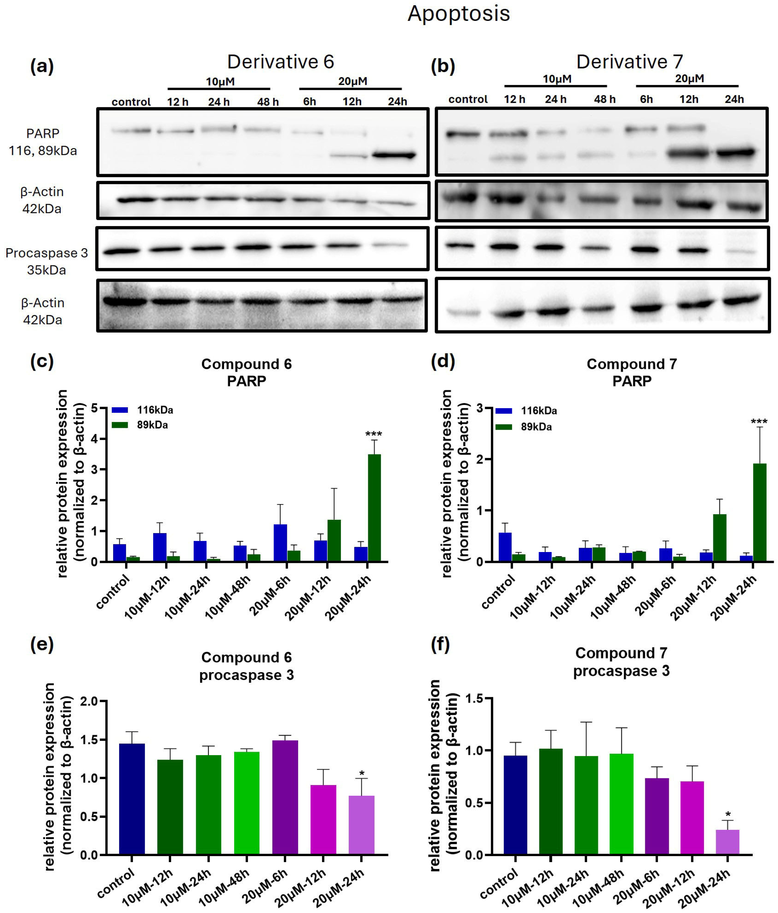 Medicina 61 01731 g006 Medicina 61 01731 g006