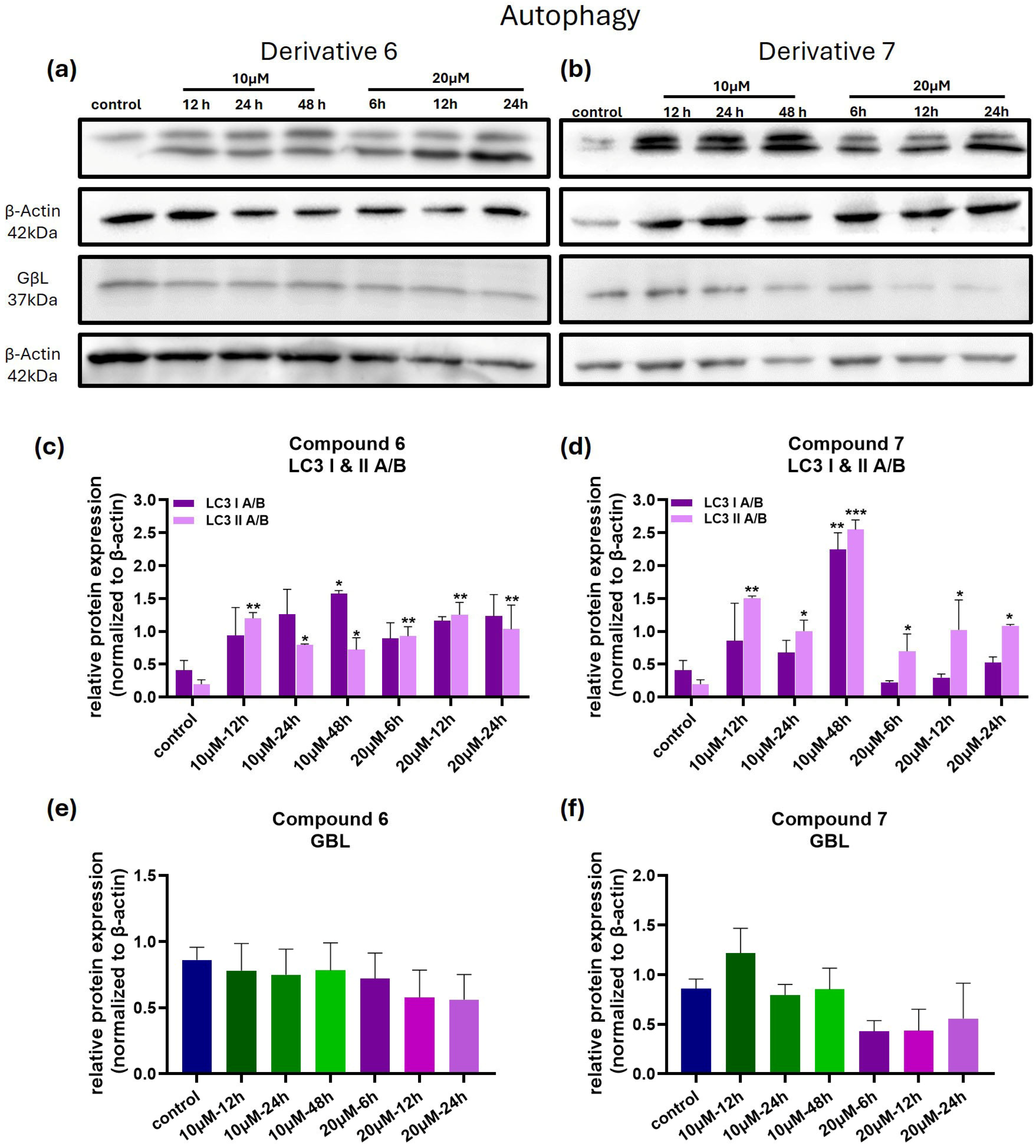 Medicina 61 01731 g007 Medicina 61 01731 g007