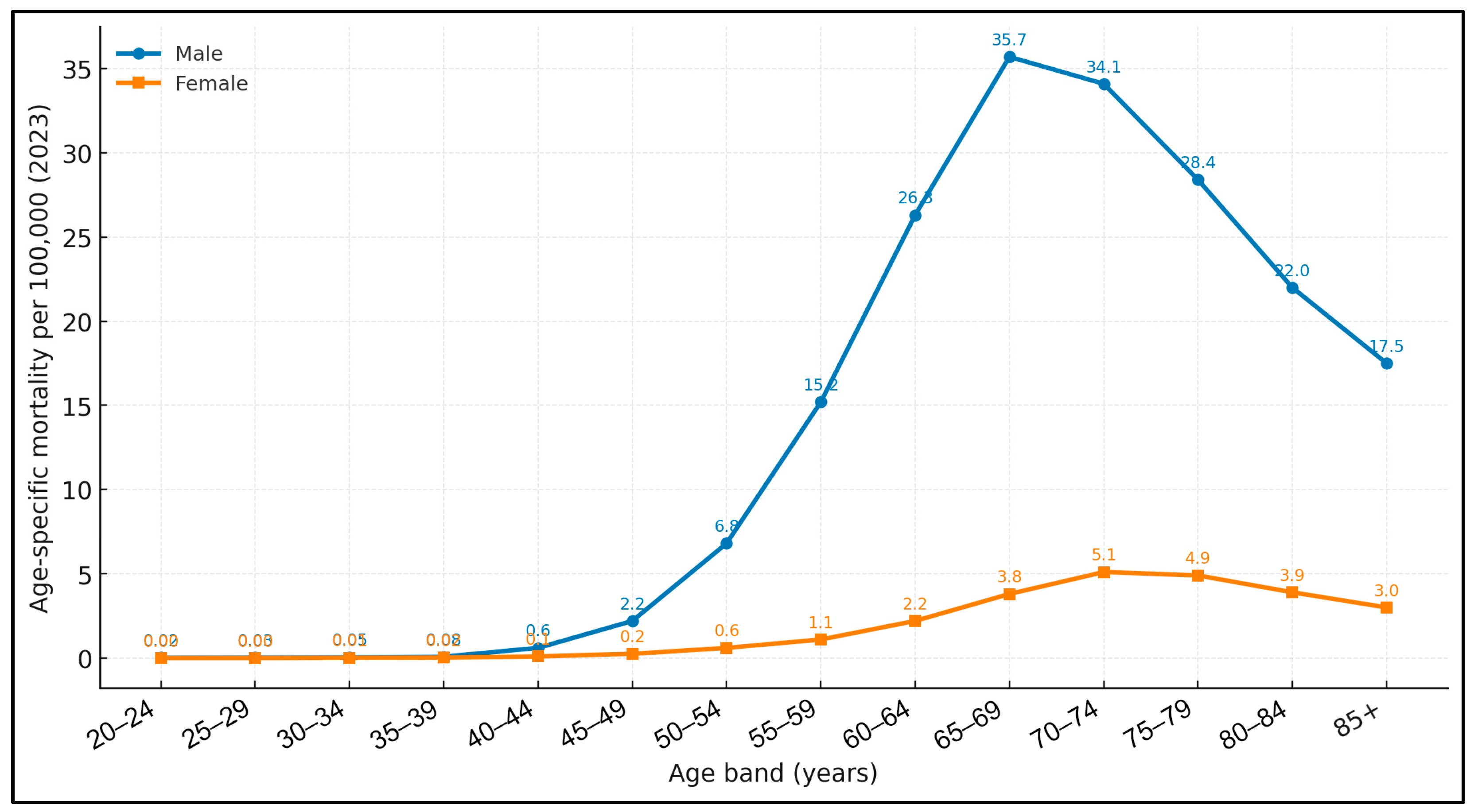 Medicina 61 01743 g001 Medicina 61 01743 g001